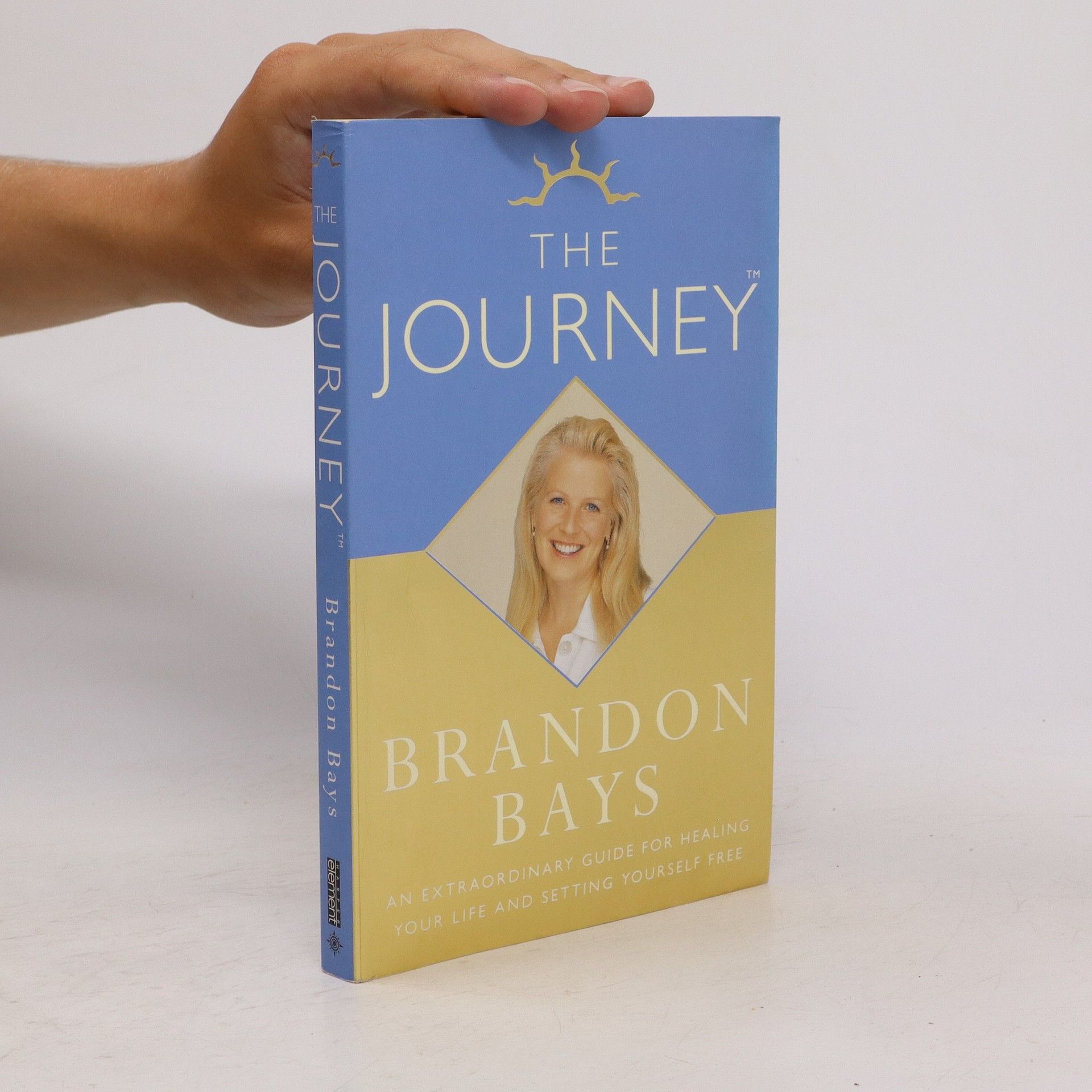 Brandon Bays The Journey