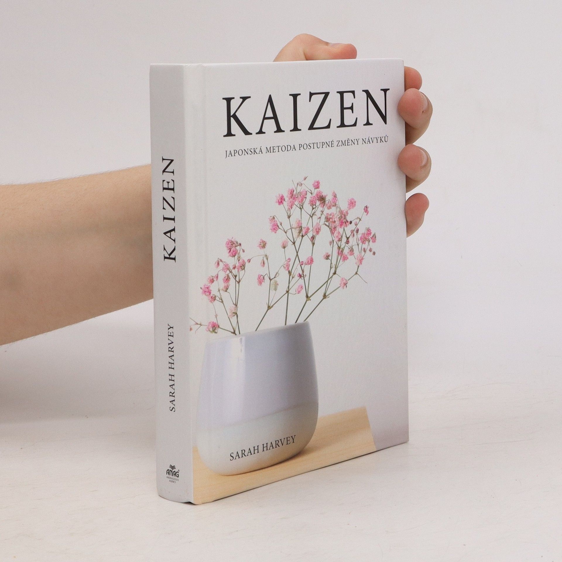 Sarah Harvey Kaizen: Japonská metoda postupné změny návyků