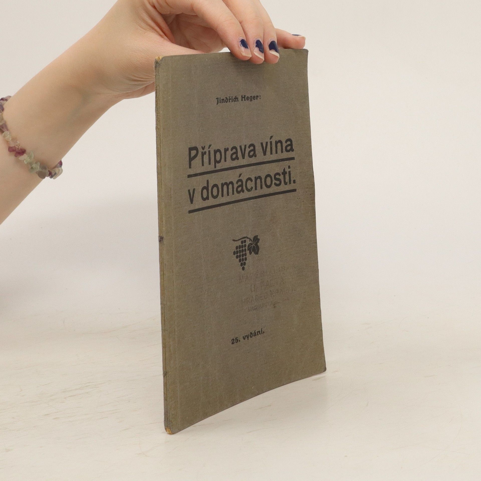 Jindřich Heger Příprava vína v domácnosti.