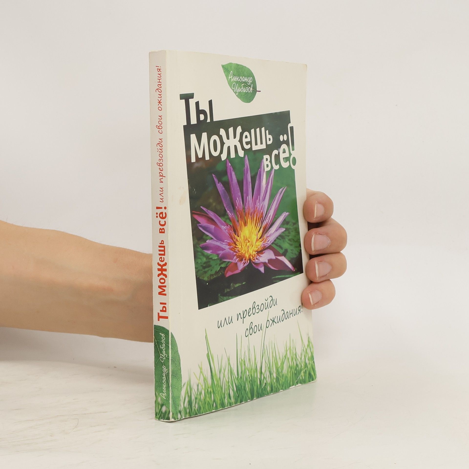 Kolektív autorov Ты можешь всё! Или превзойди свои ожидания! Ty mozhesh vsjo! Ili prevzojjdi svoi ozhidanija!
