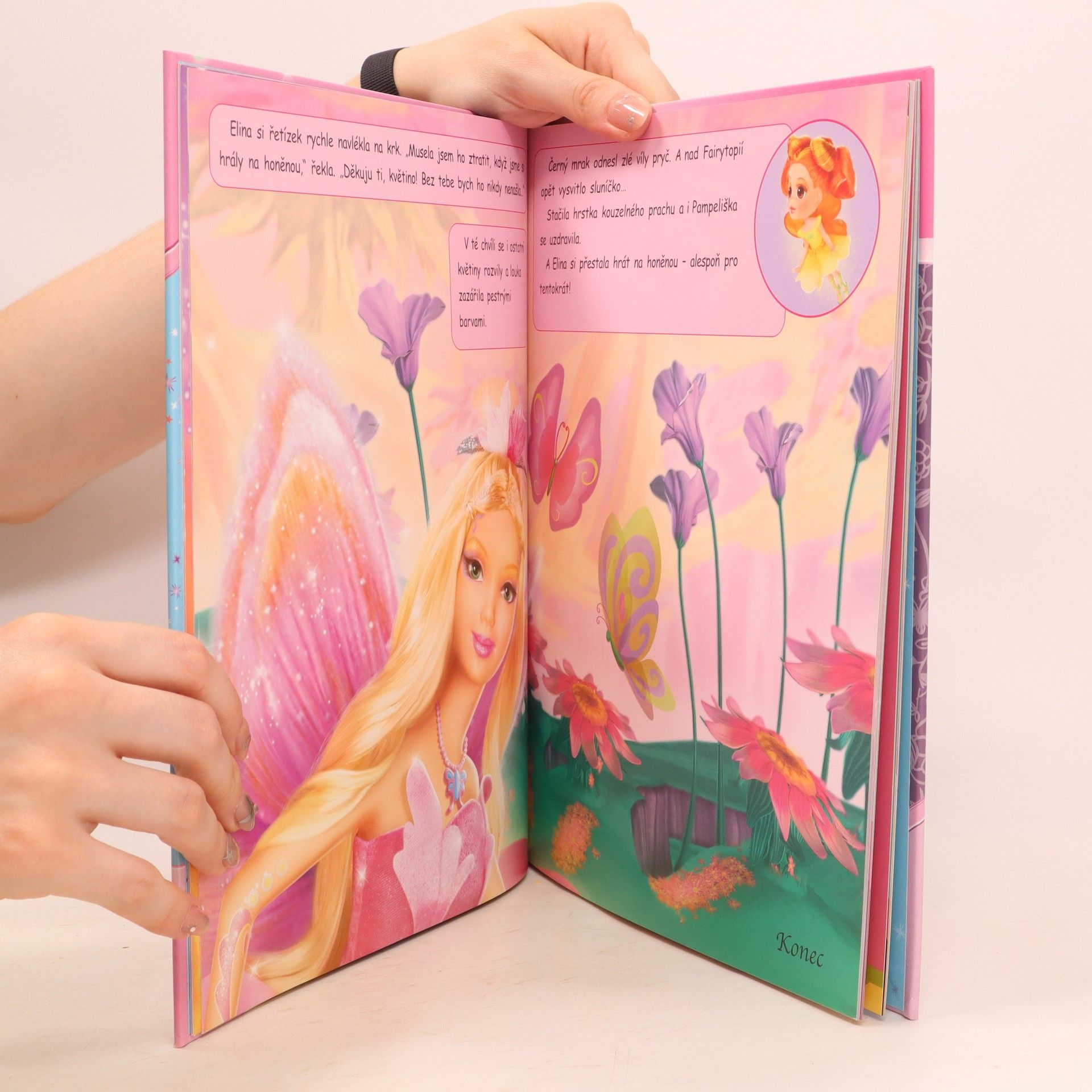Autorenkollektiv Barbie Knížka na rok 2007