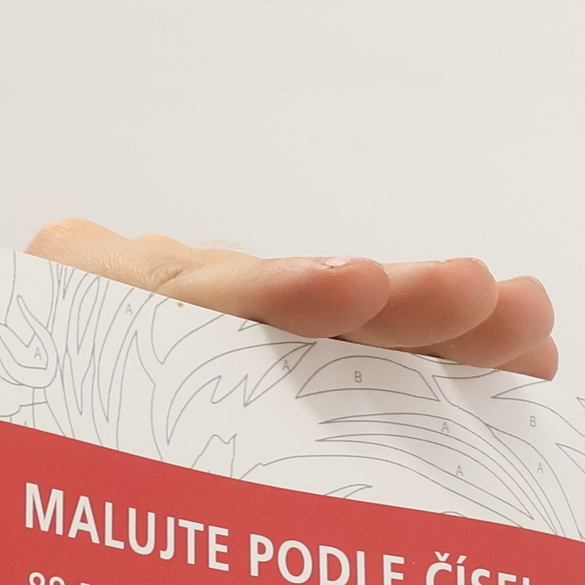 Jérémy Mariez Známé tváře. 88 portrétů k vymalování podle čísel