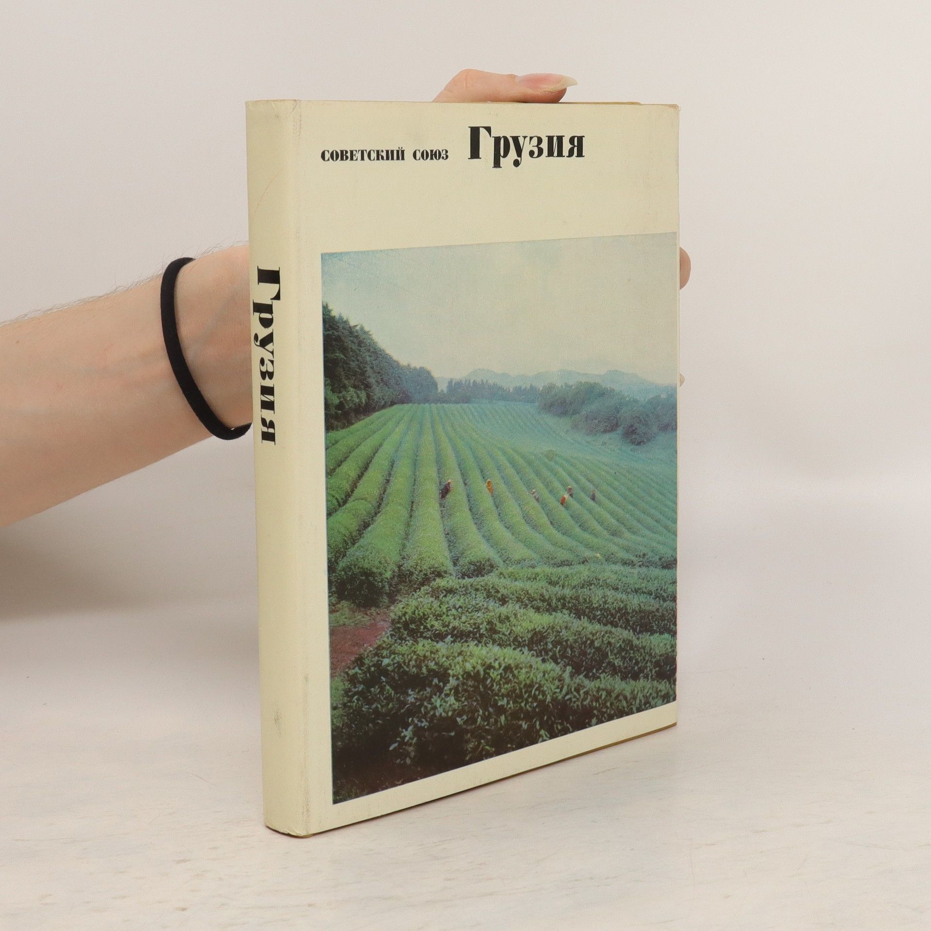 Autorenkollektiv СОВЕТСКИЙ союз Грузия. SOVETSKIY soyuz Gruziya