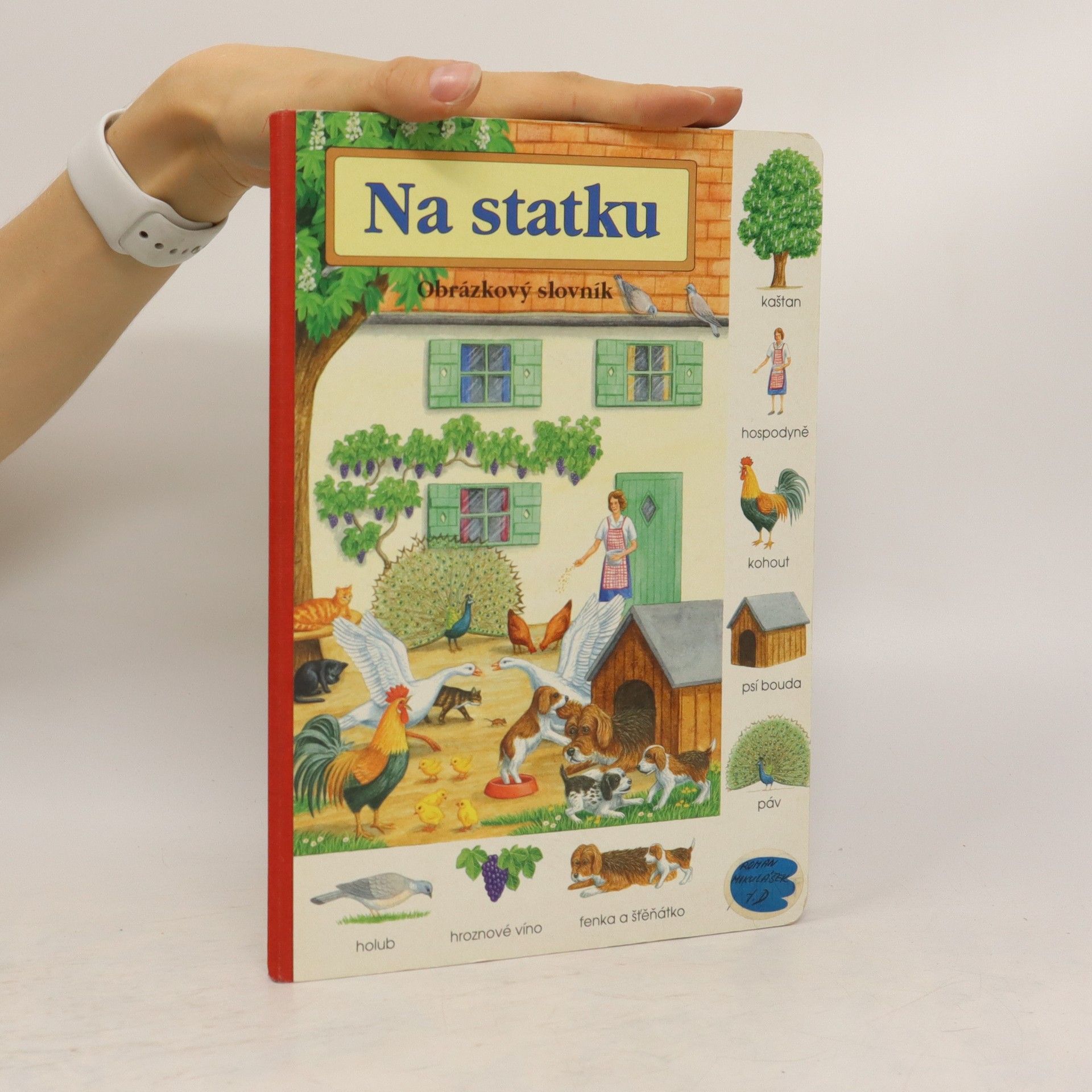 Autorenkollektiv Na statku - obrázkový slovník