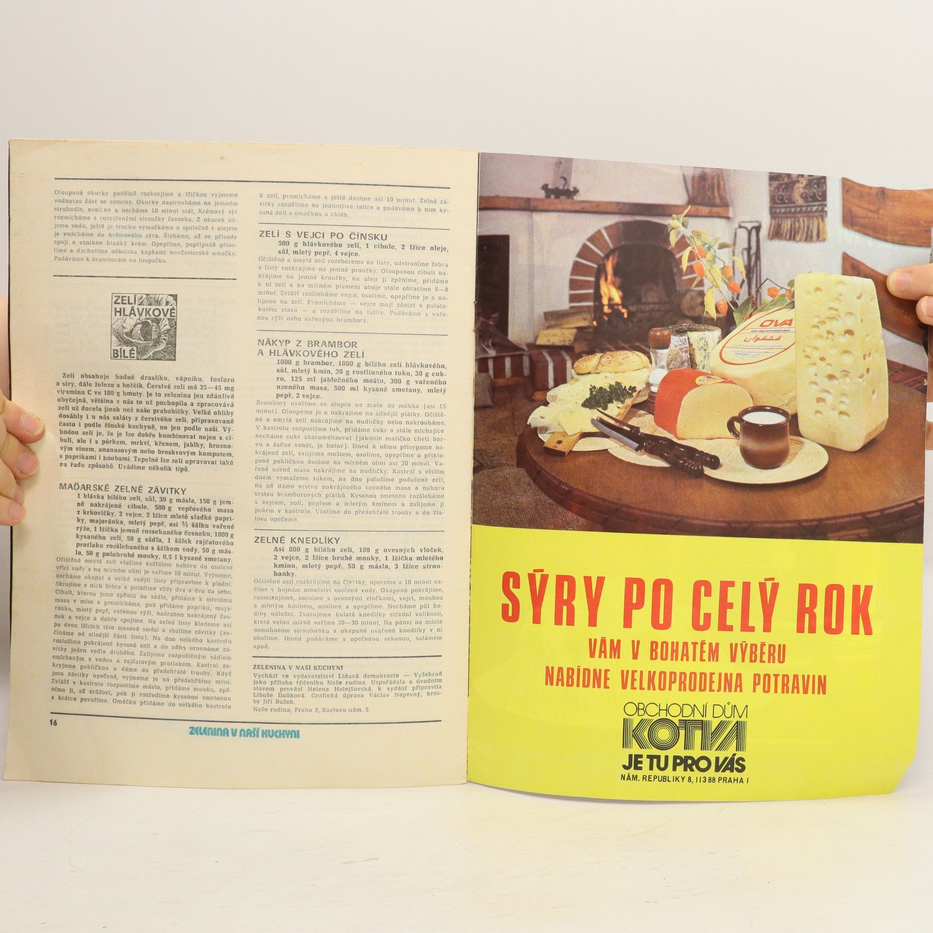 Kolektiv autorů Zelenina v naší kuchyni
