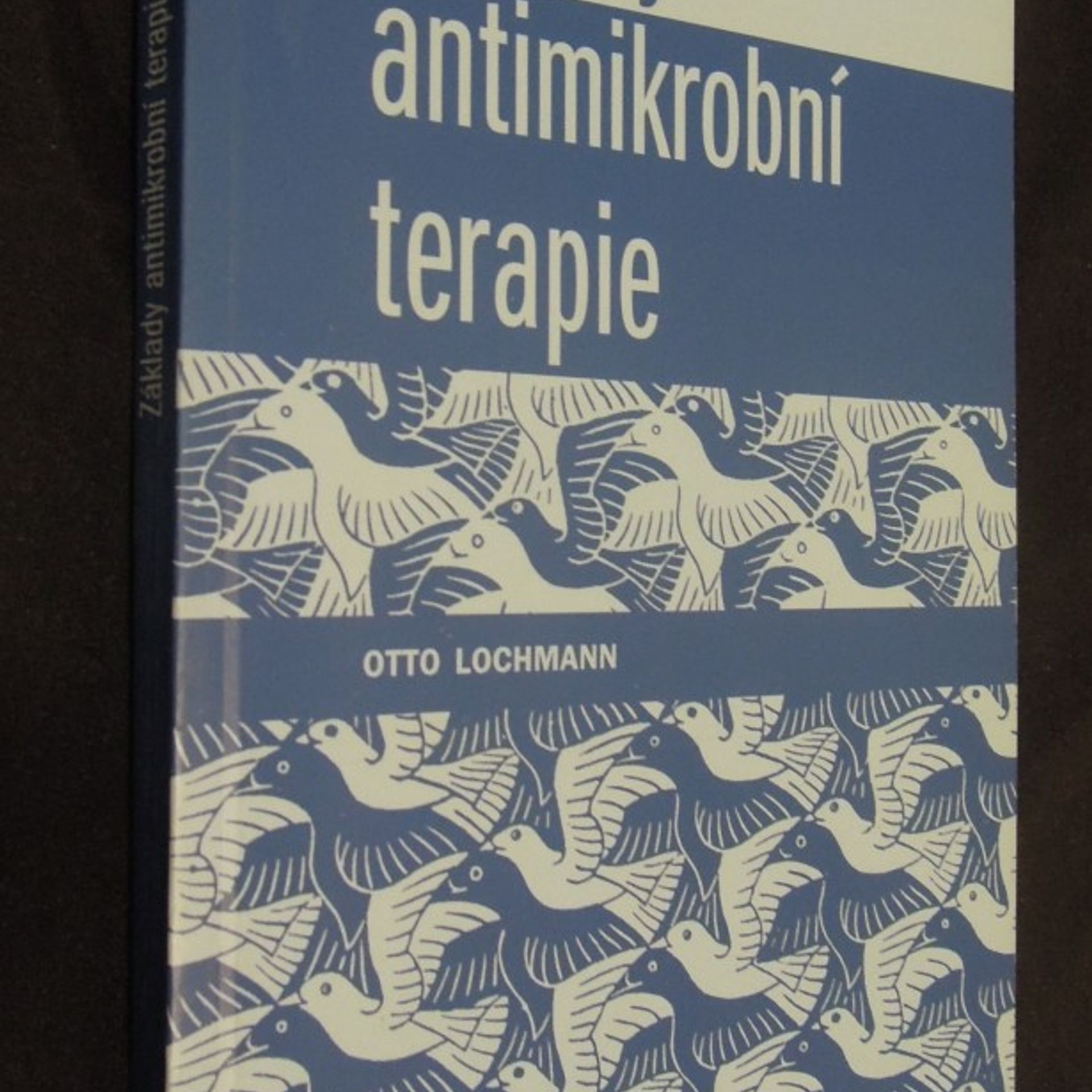 Otto Lochmann Základy antimikrobní terapie