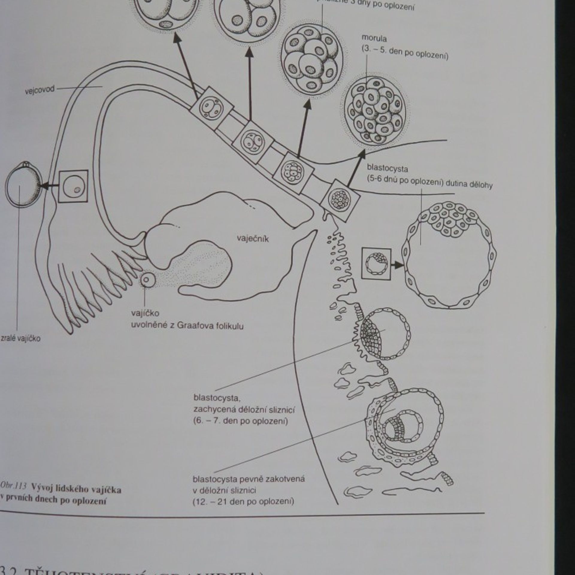 Jan Morav Biologie člověka pro gymnázia