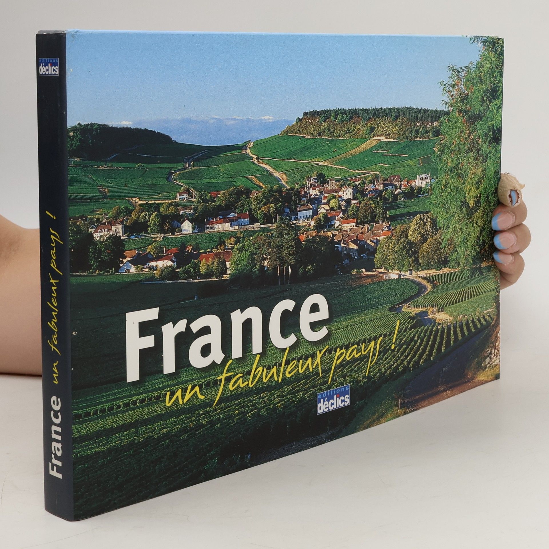 Collectif d'auteurs France. Un fabuleux pays!