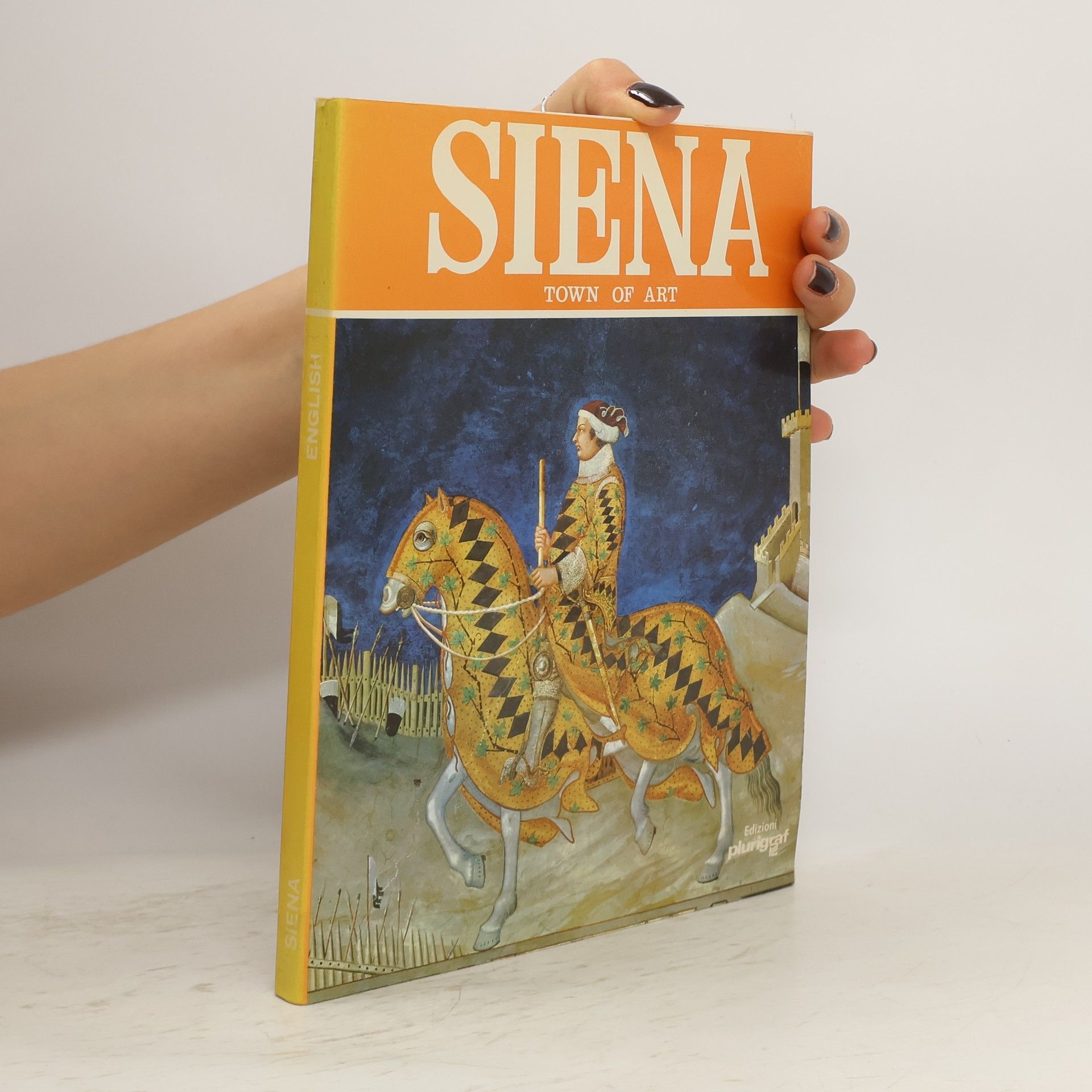 Kolektiv autorů Siena. Town of Art