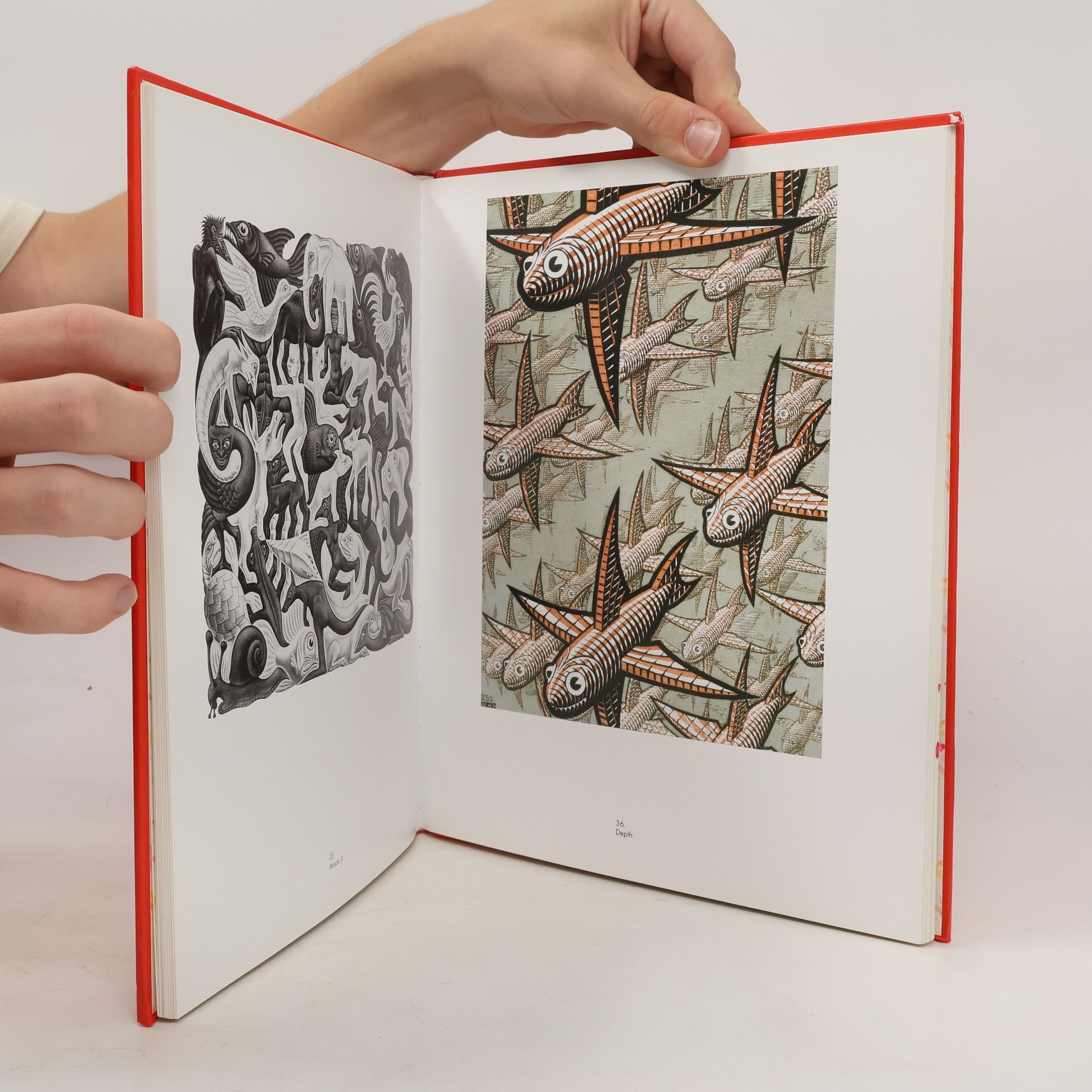 M. C. Escher M. C. Escher: The Graphic Work
