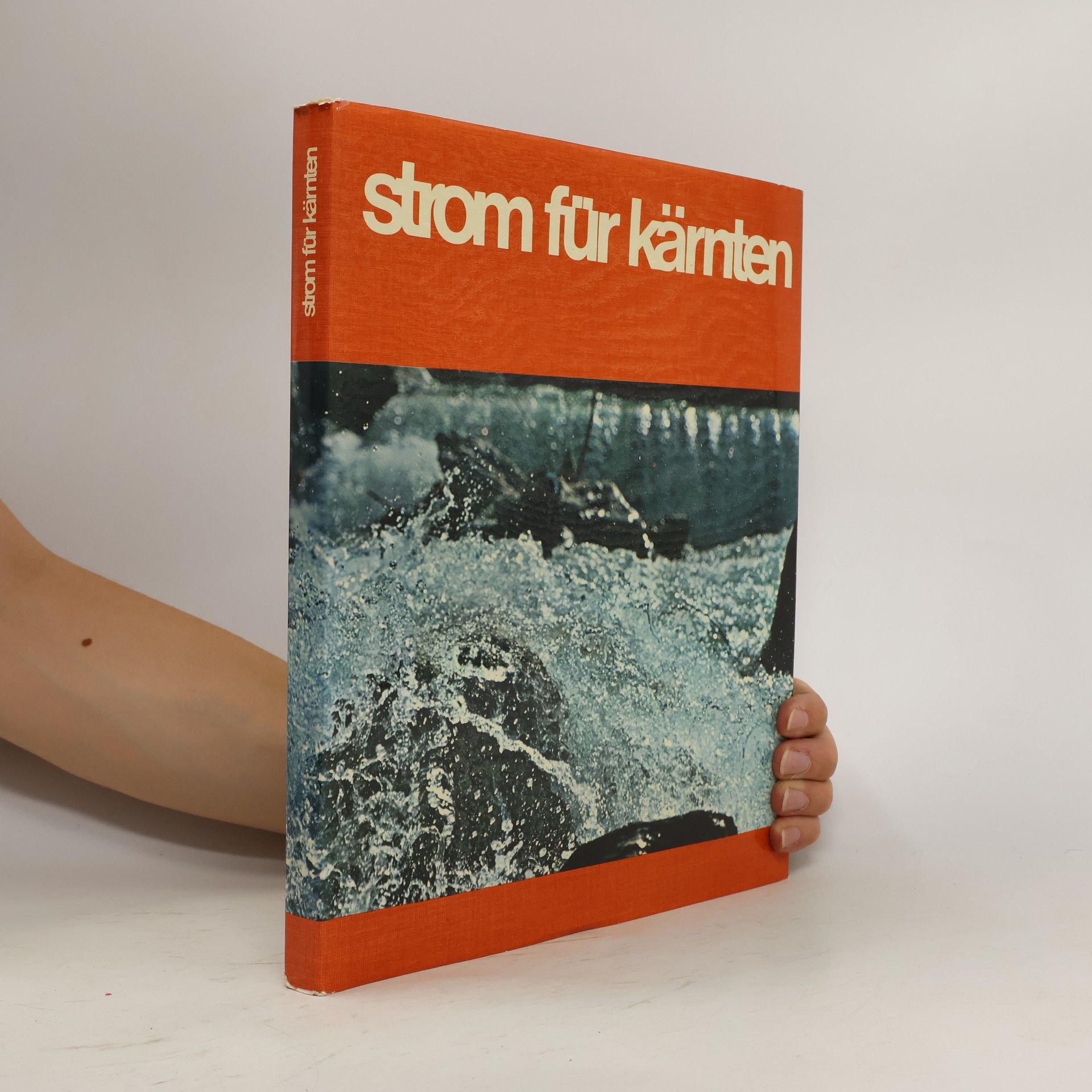 Kolektiv autorů Strom für kärnten