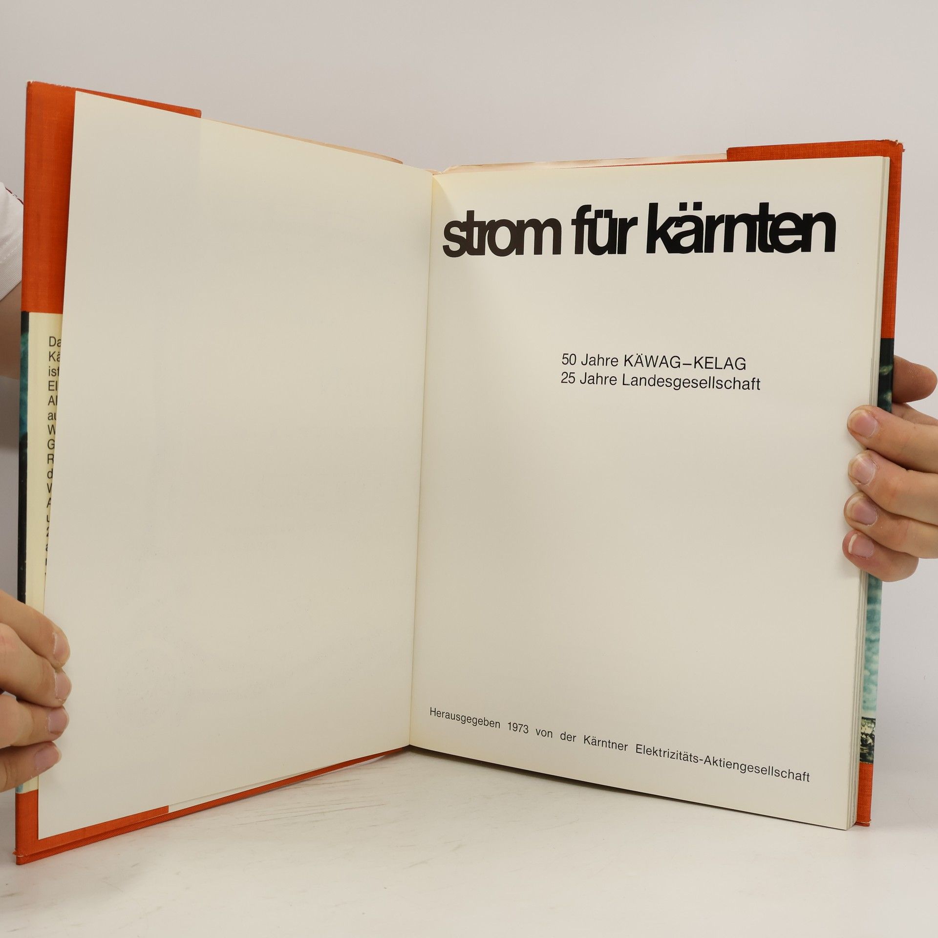 Kolektiv autorů Strom für kärnten