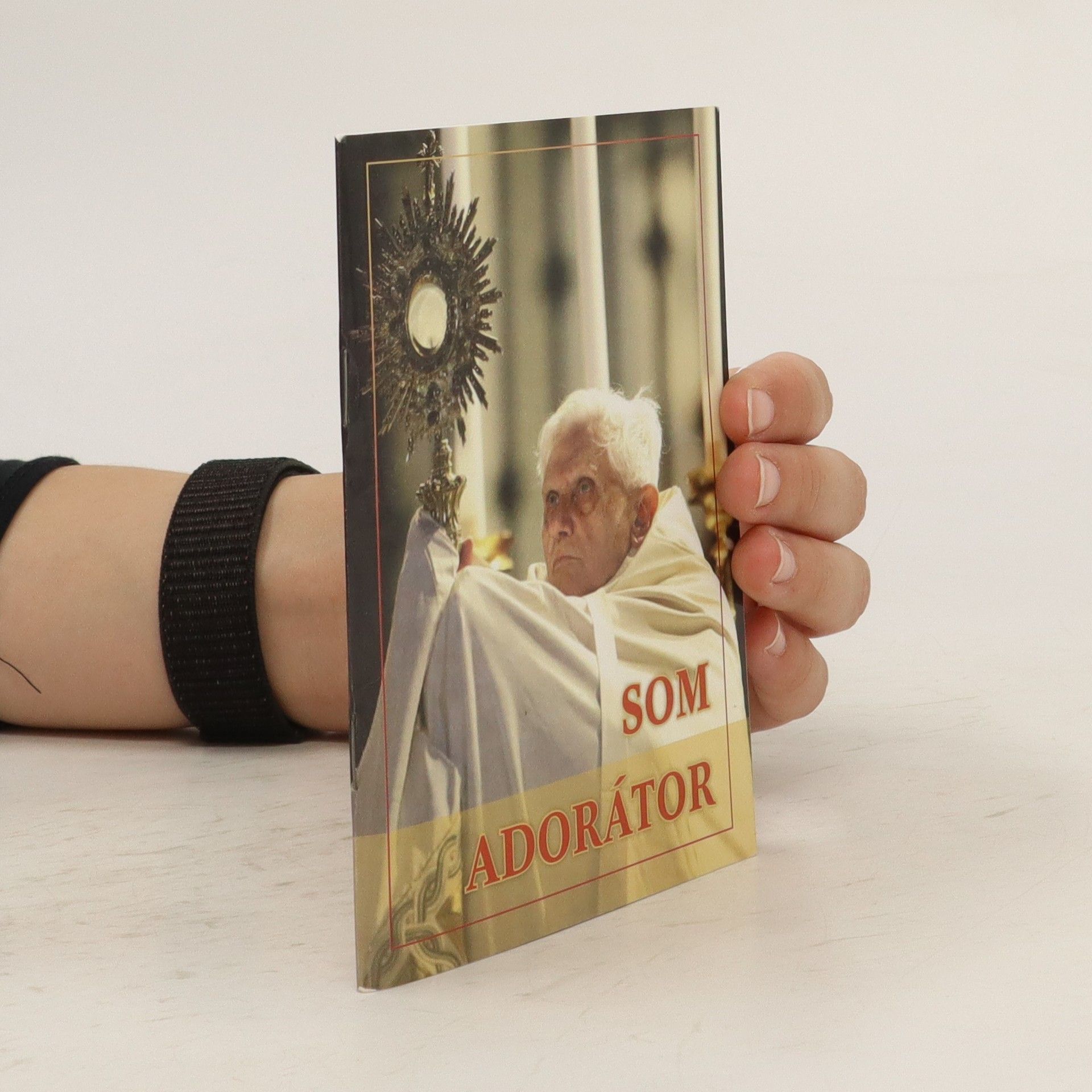 Kolektív autorov Som Adorátor