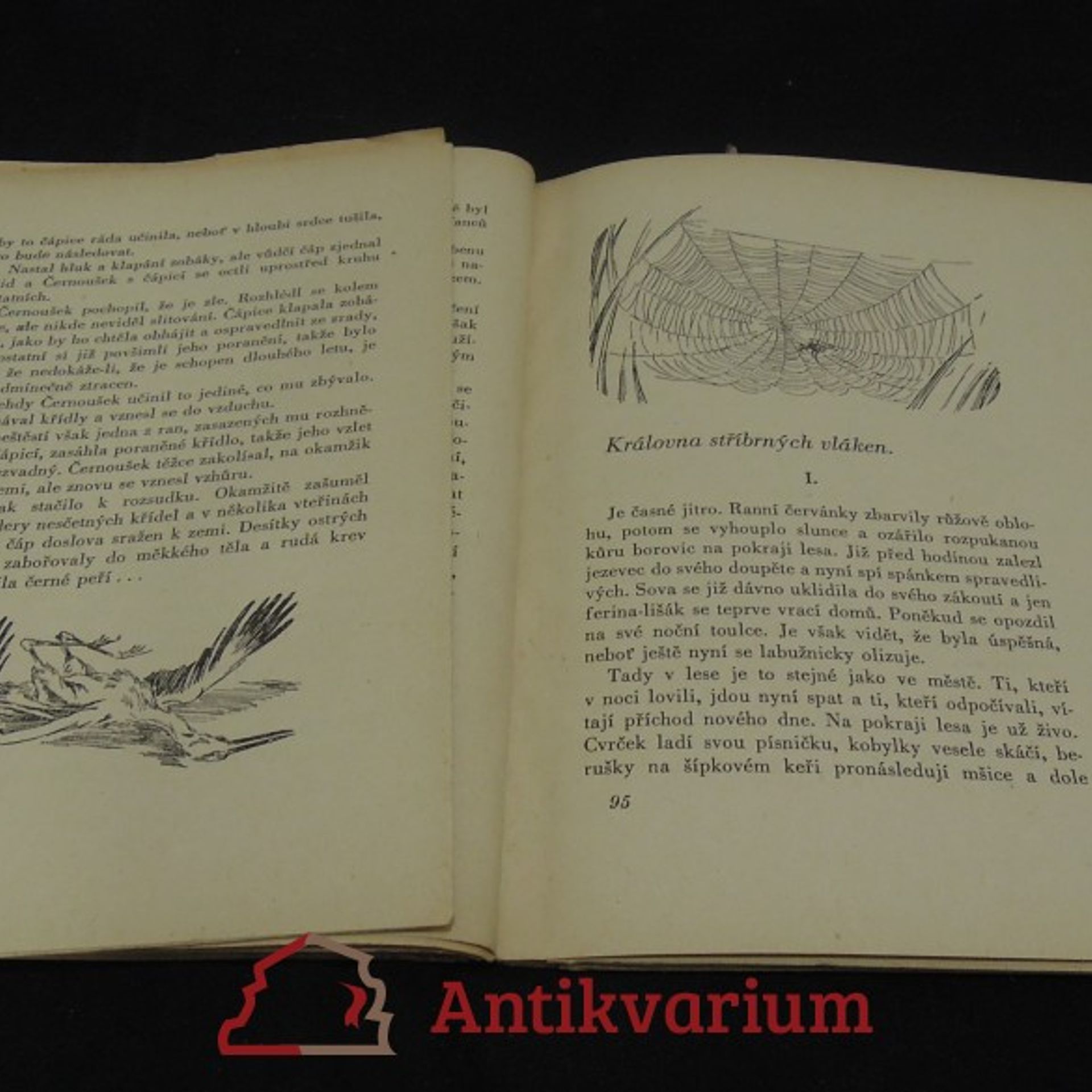Čepelák Bohumil Bojovník statečného srdce