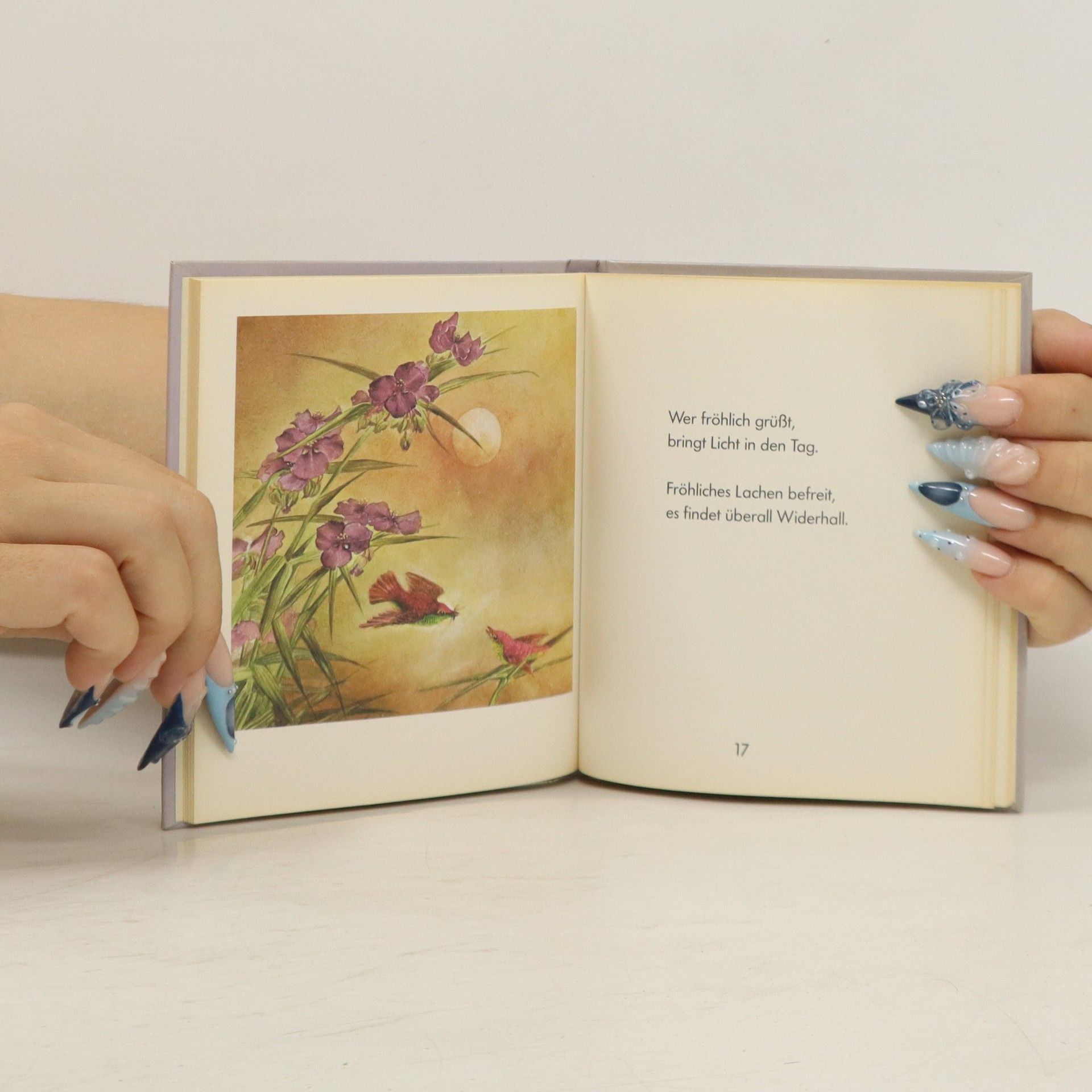 Autorenkollektiv Das kleine Buch der Fröklichkeit