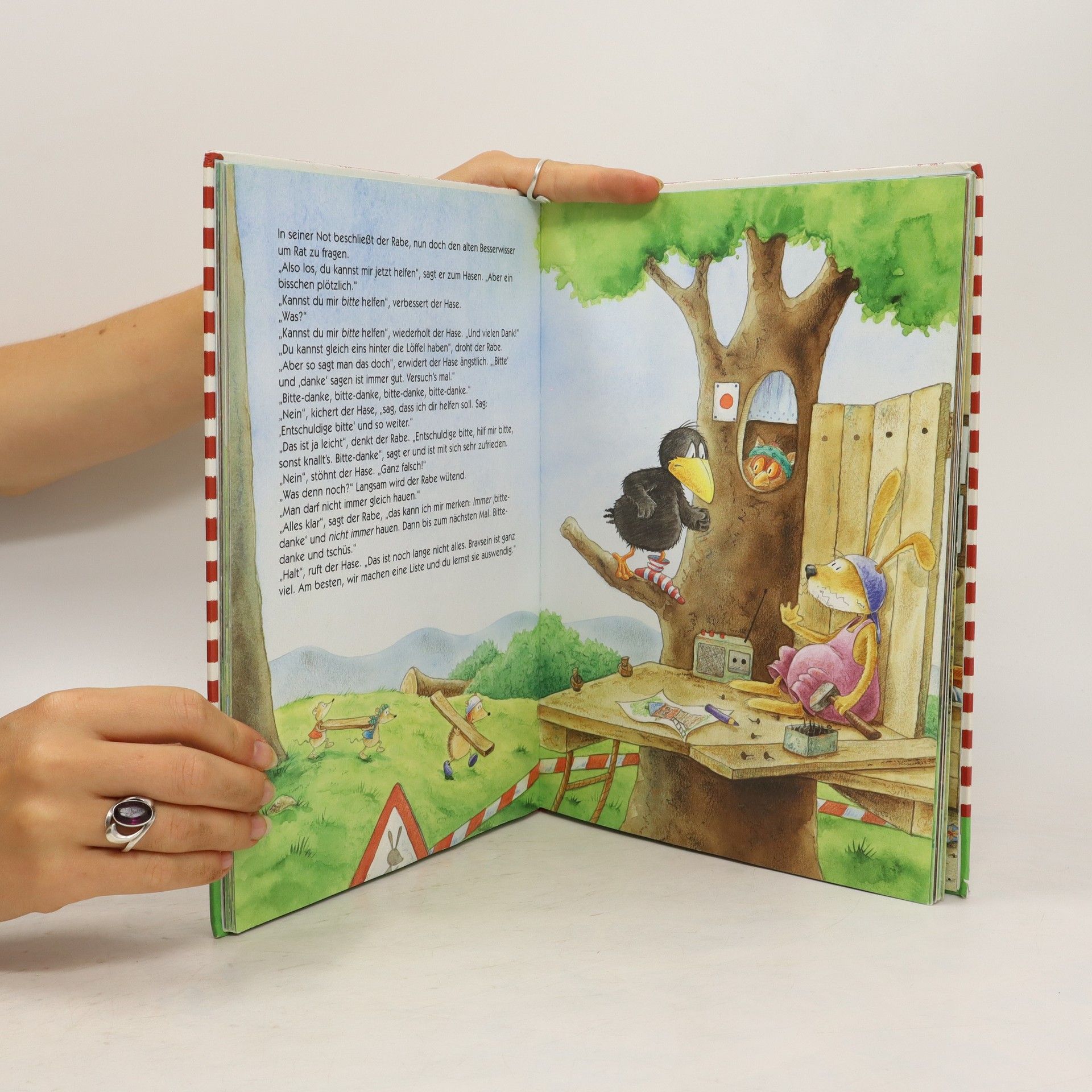 Nelle Mosut'u Das große Buch vom kleinen Raben Socke
