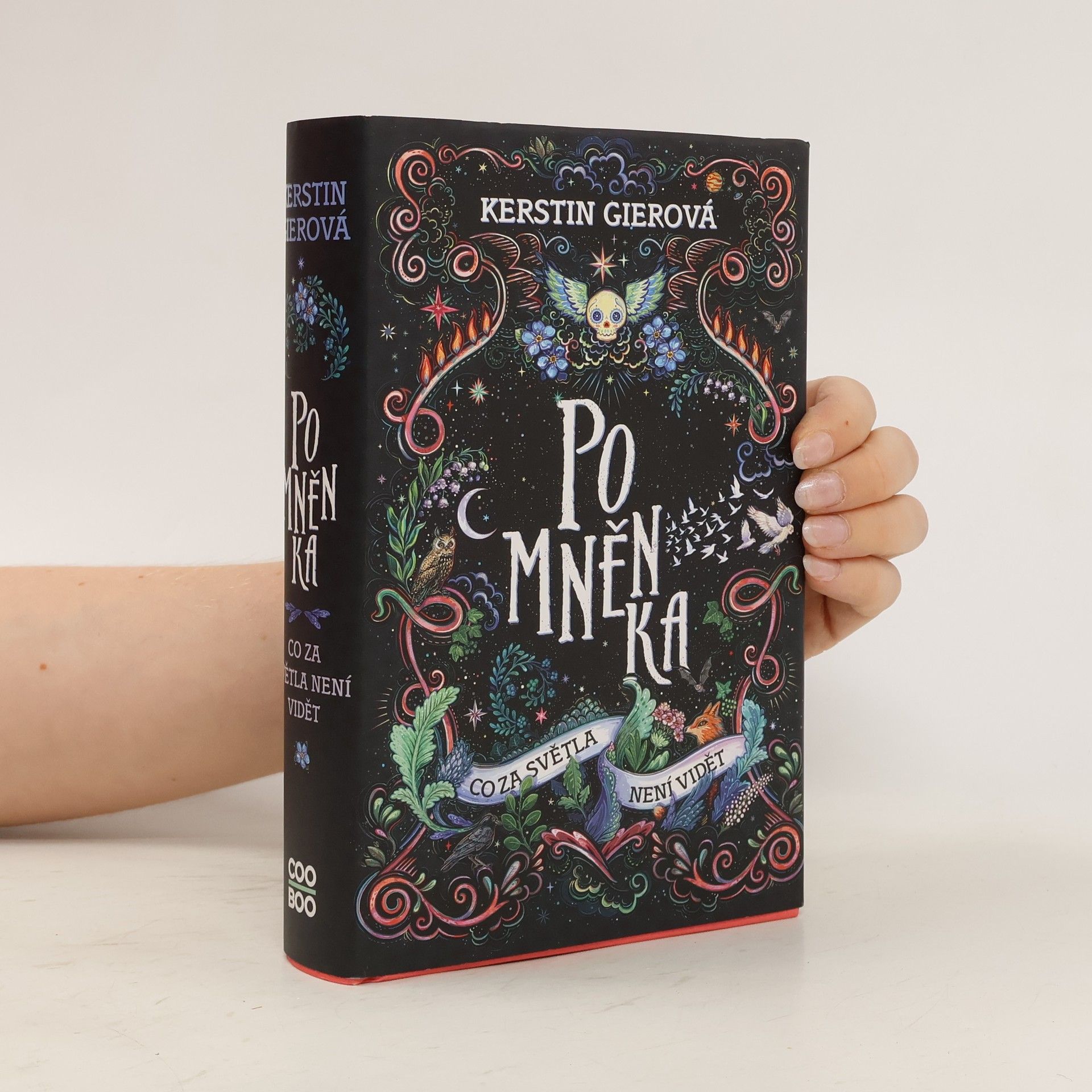 Kerstin Gier Pomněnka : co za světla není vidět