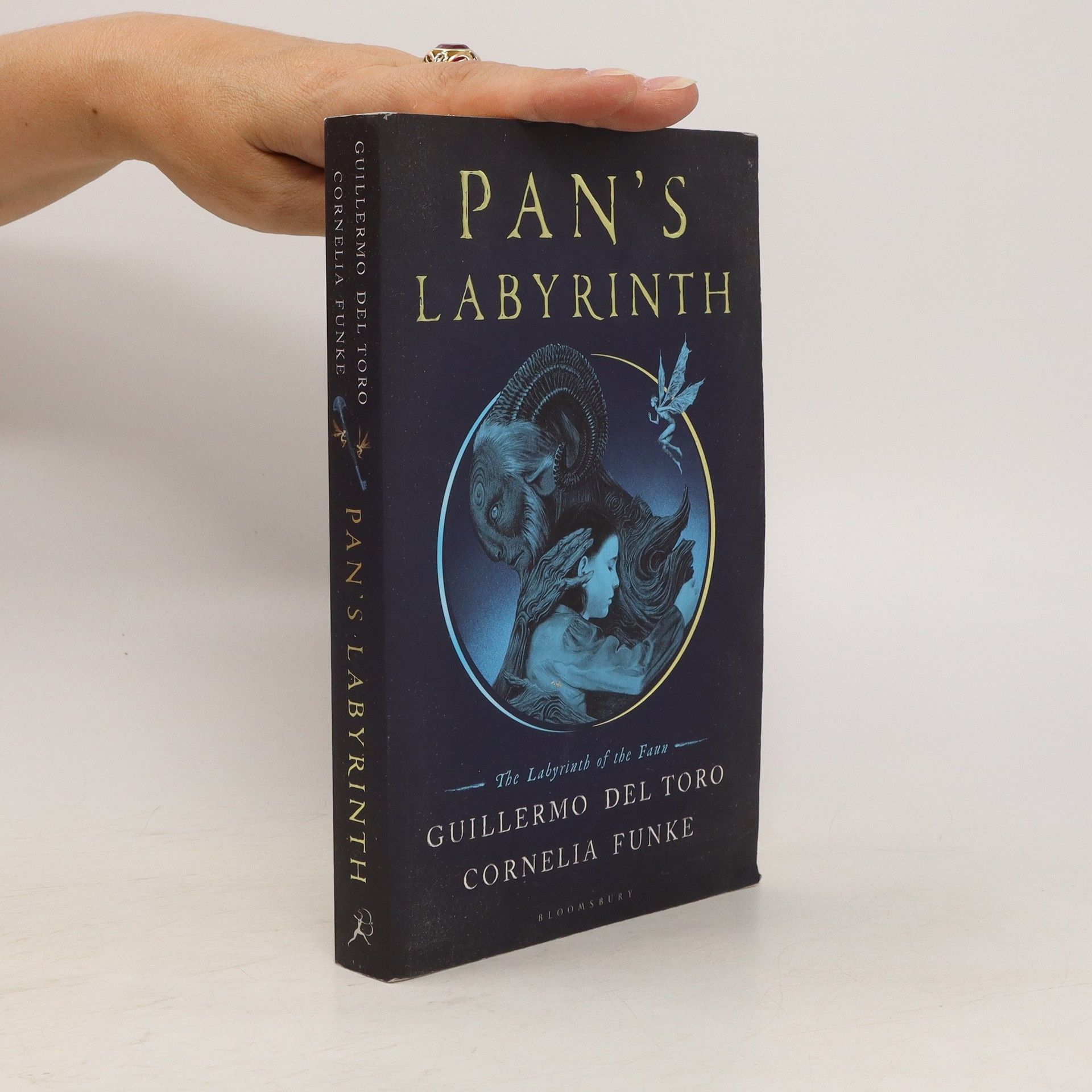 Guillermo del Toro Pan's labyrinth : the labyrinth of the faun