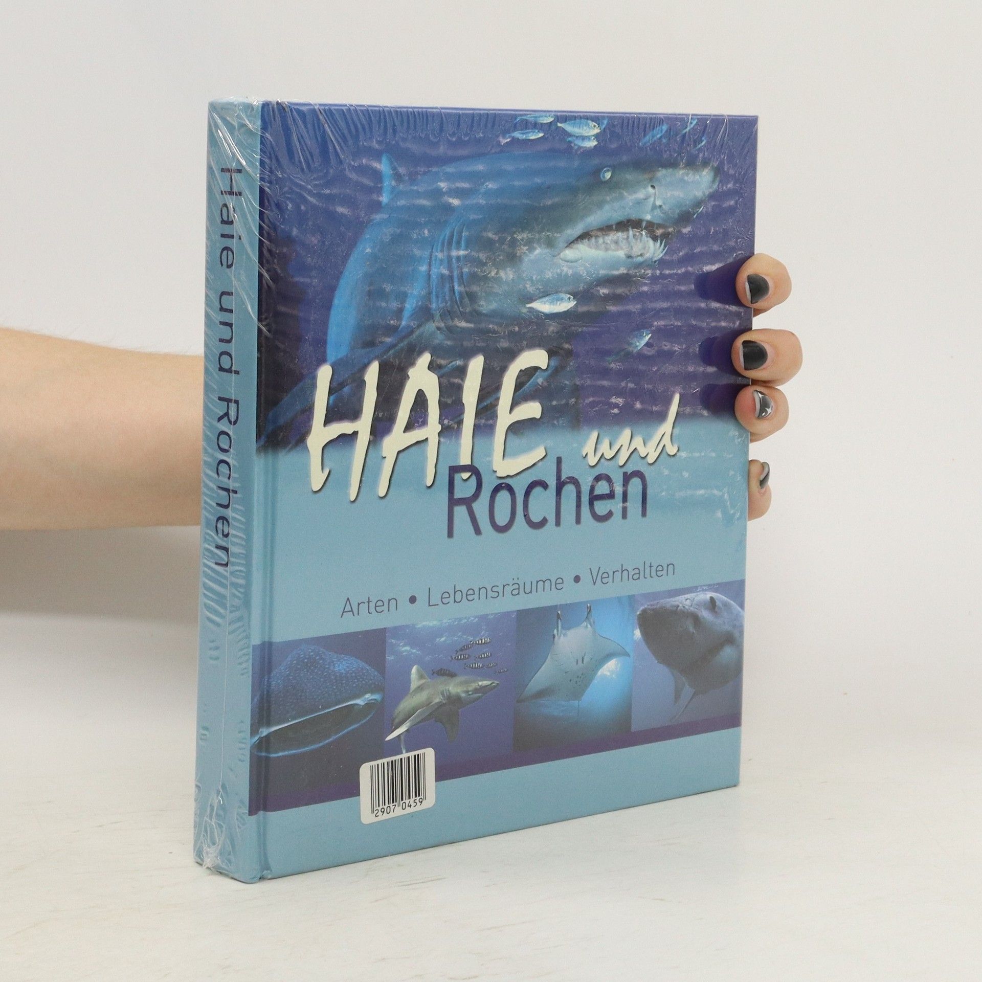 Collectif d'auteurs Haie und Rochen