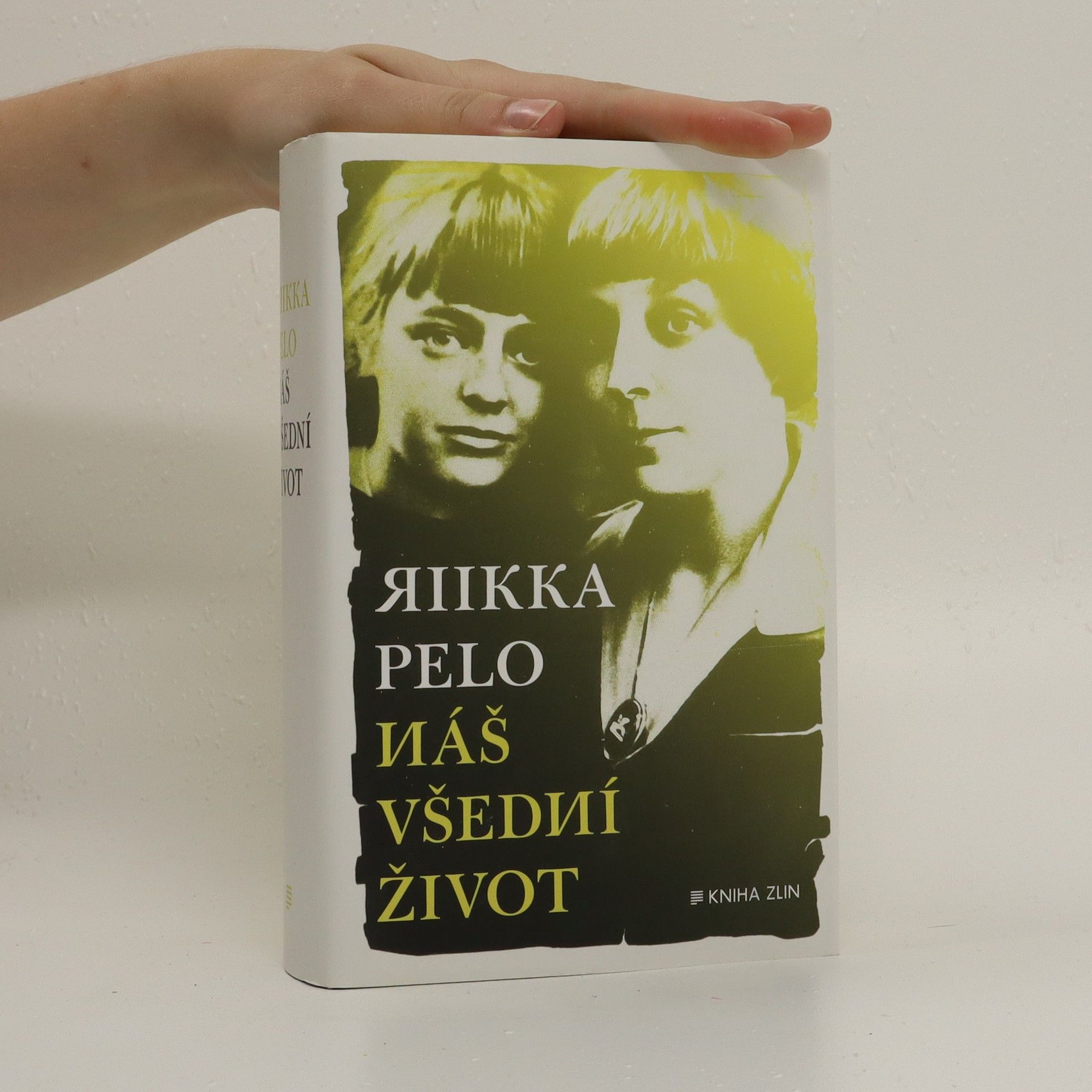 Riikka Pelo Náš všední život