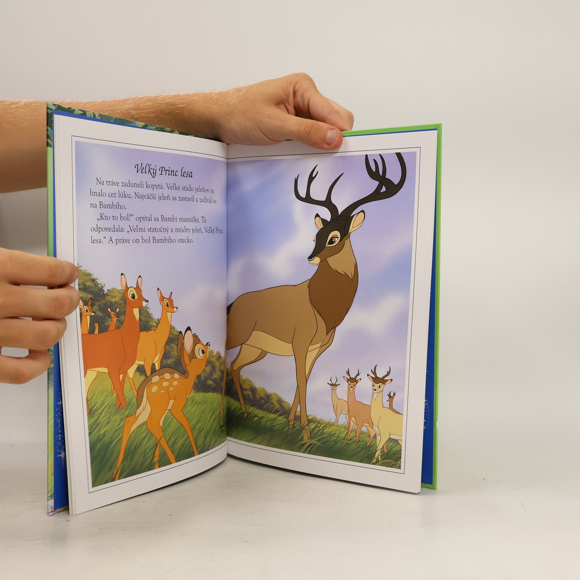 Autorenkollektiv Bambi
