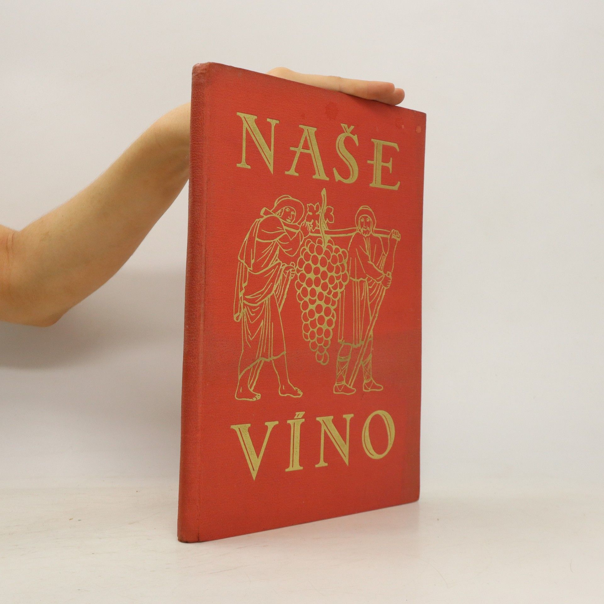 Kolektív autorov Naše víno