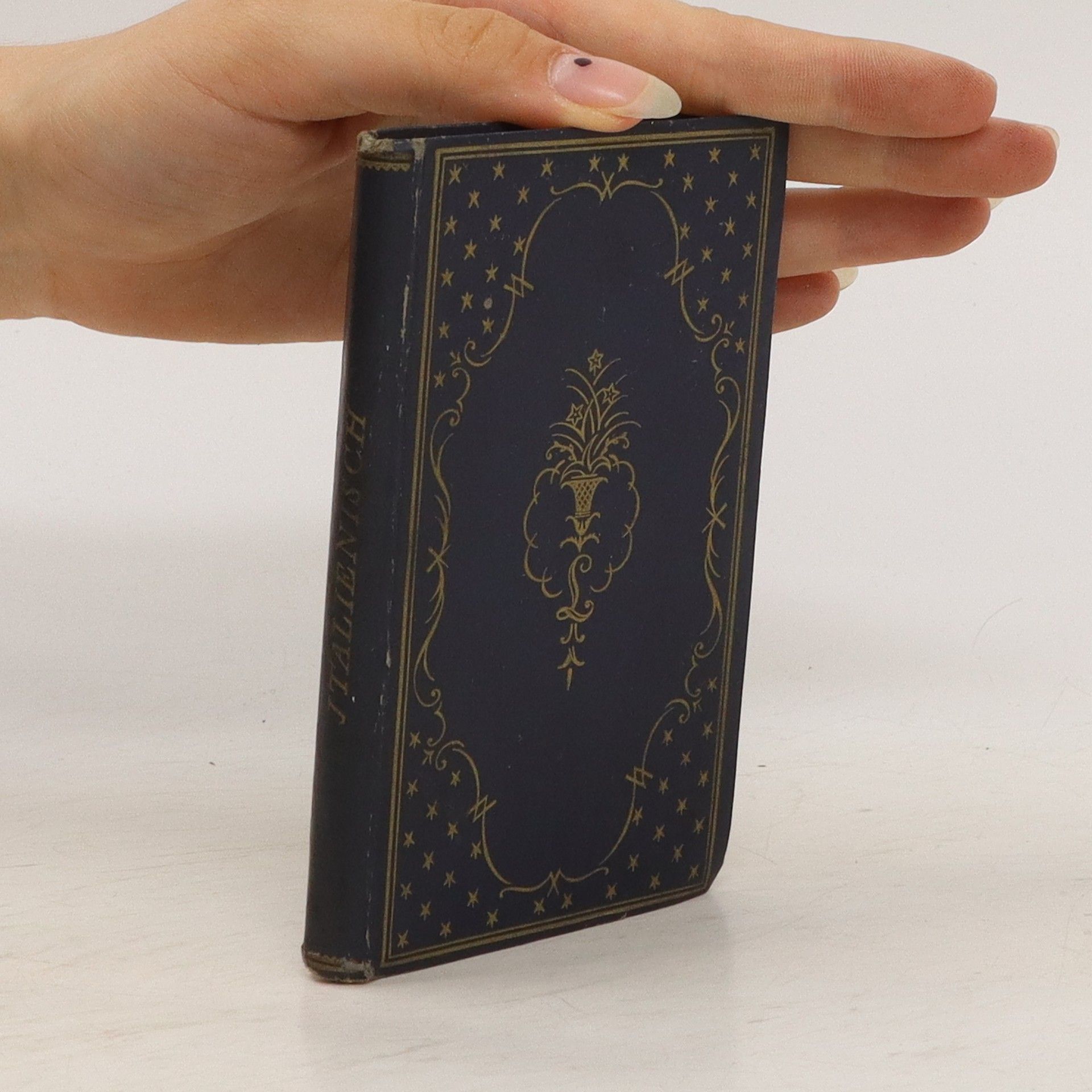 Carlo Pietroni  Metoula Sprachführer. Italienisch