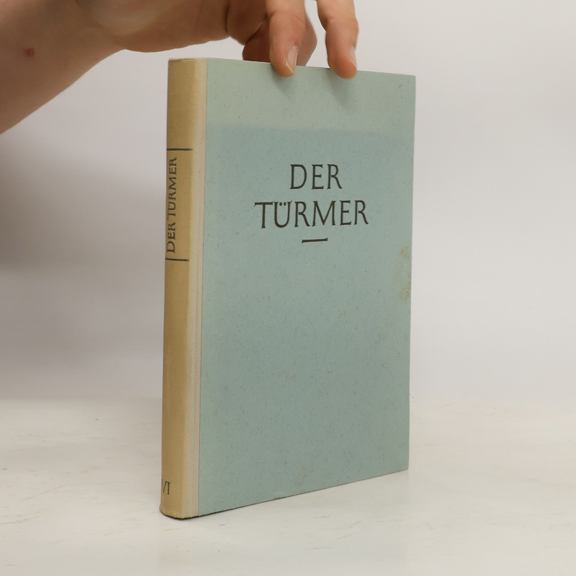 Der Türmer. Sechster Band