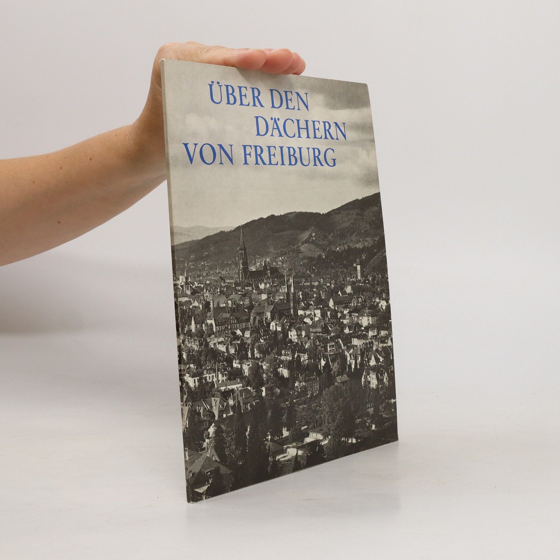 Autorenkollektiv Über den Dächern von Freiburg