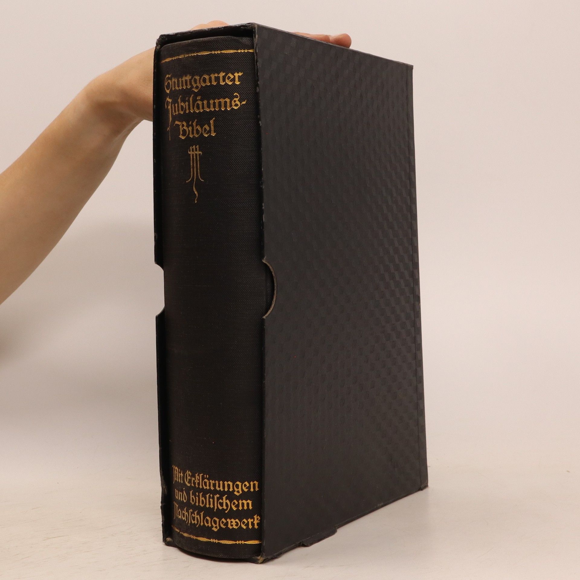 Martin Luther Die Bibel oder die Ganze Heilige Schrift