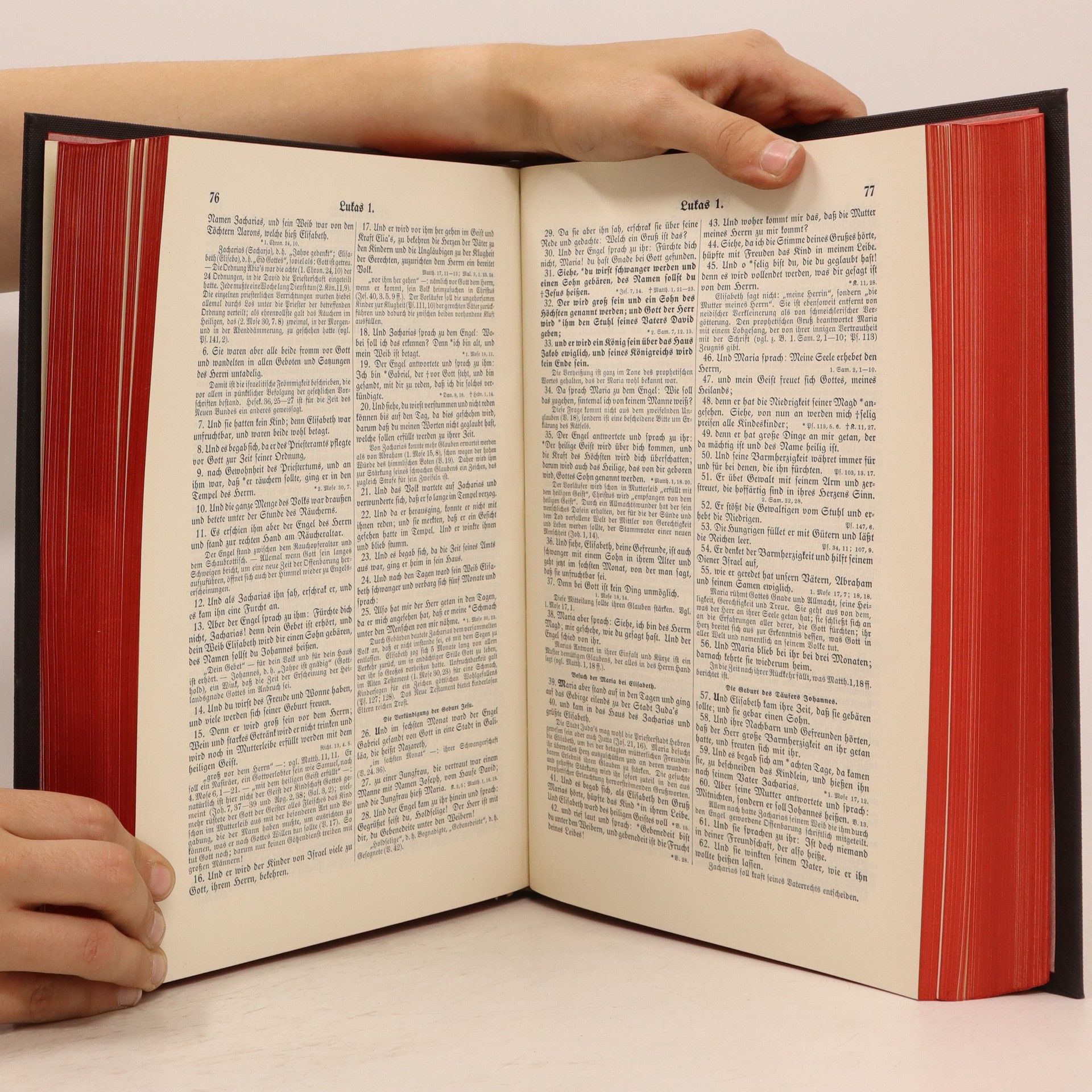 Martin Luther Die Bibel oder die Ganze Heilige Schrift