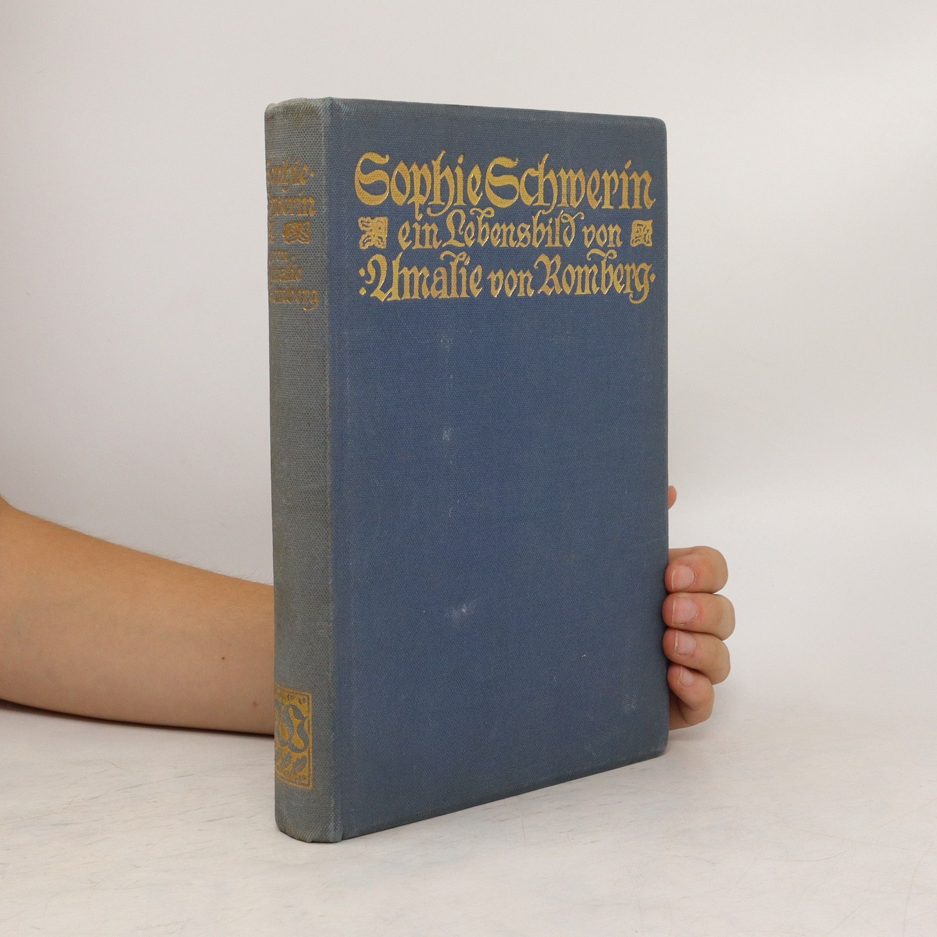 Sophie Schwerin Ein Lebensbild