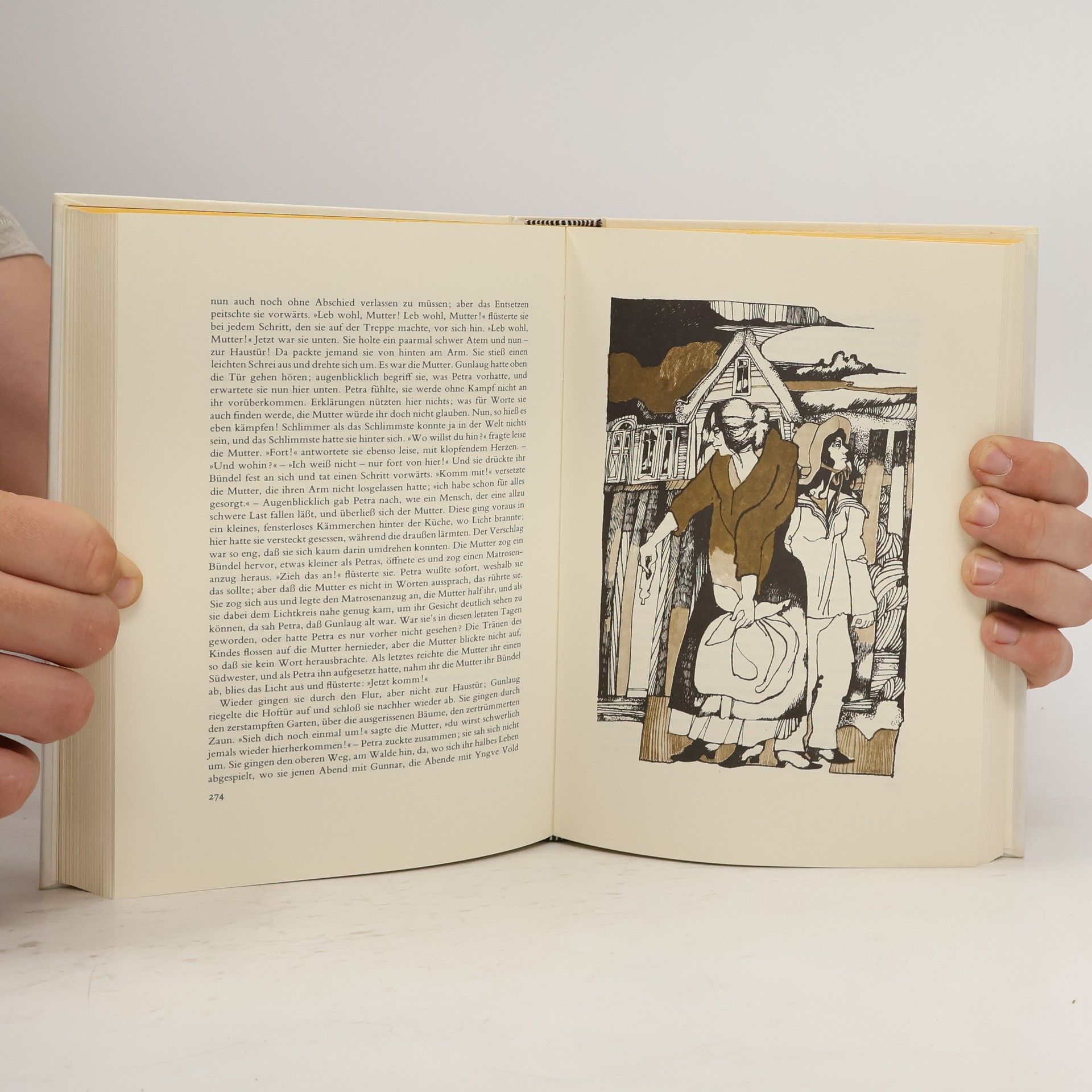 Bjömstjeme Björnson Meisternovellen