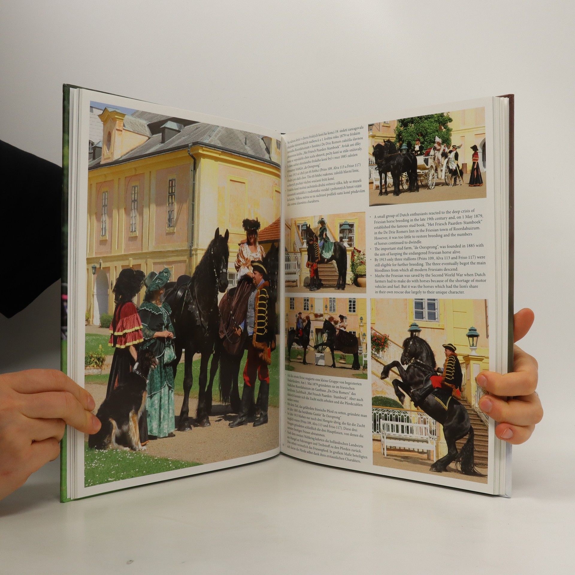 Dalibor Gregor Fríský kůň - černá perla. The Friesian horse - A black pearl. Das Friesenpferd - Schwarze Perle. II. díl