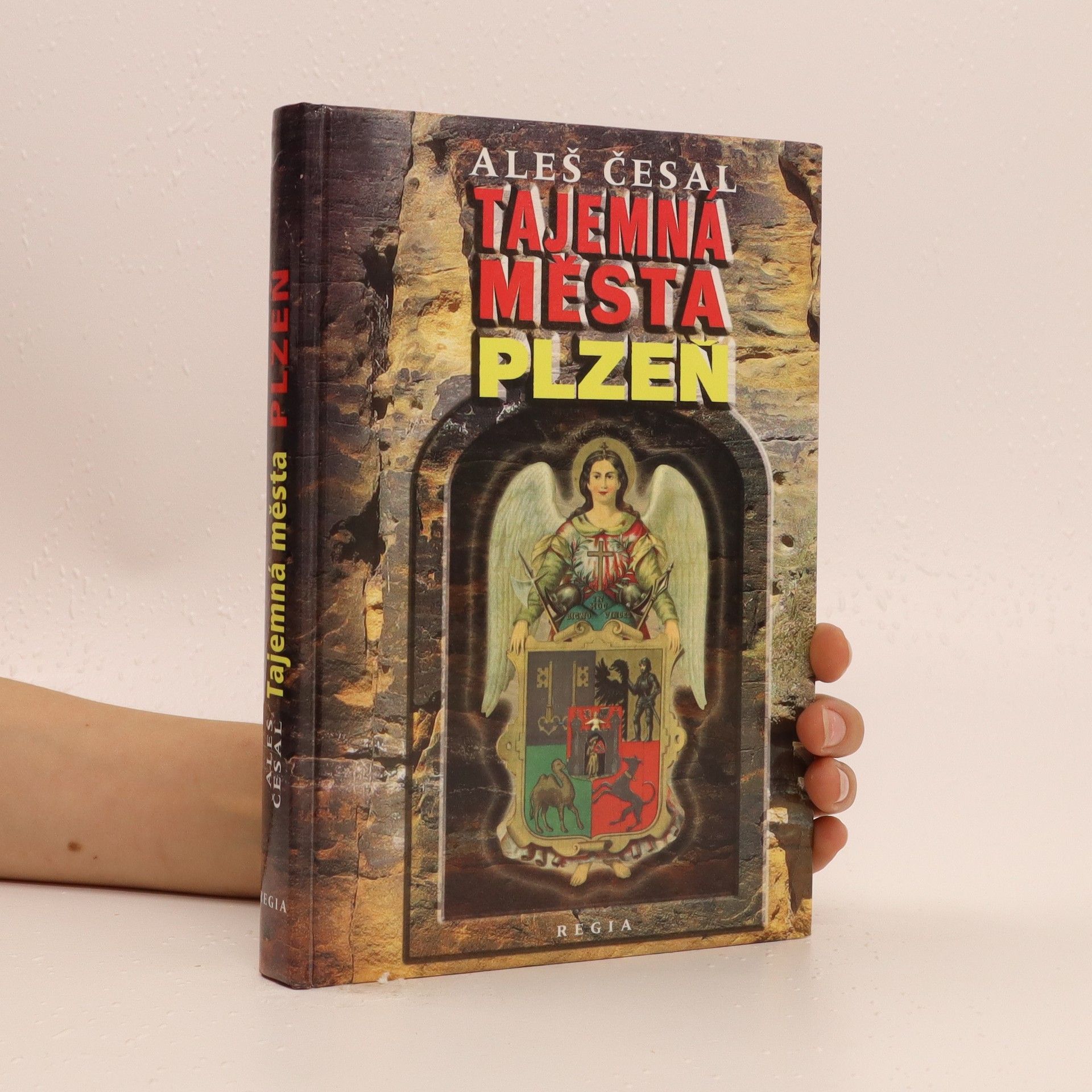 Aleš Česal Tajemná města. Plzeň
