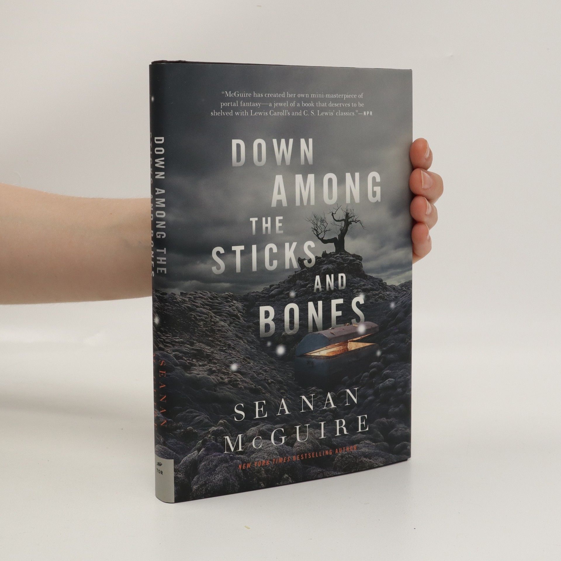 Seanan McGuire Down Among the Sticks and Bones