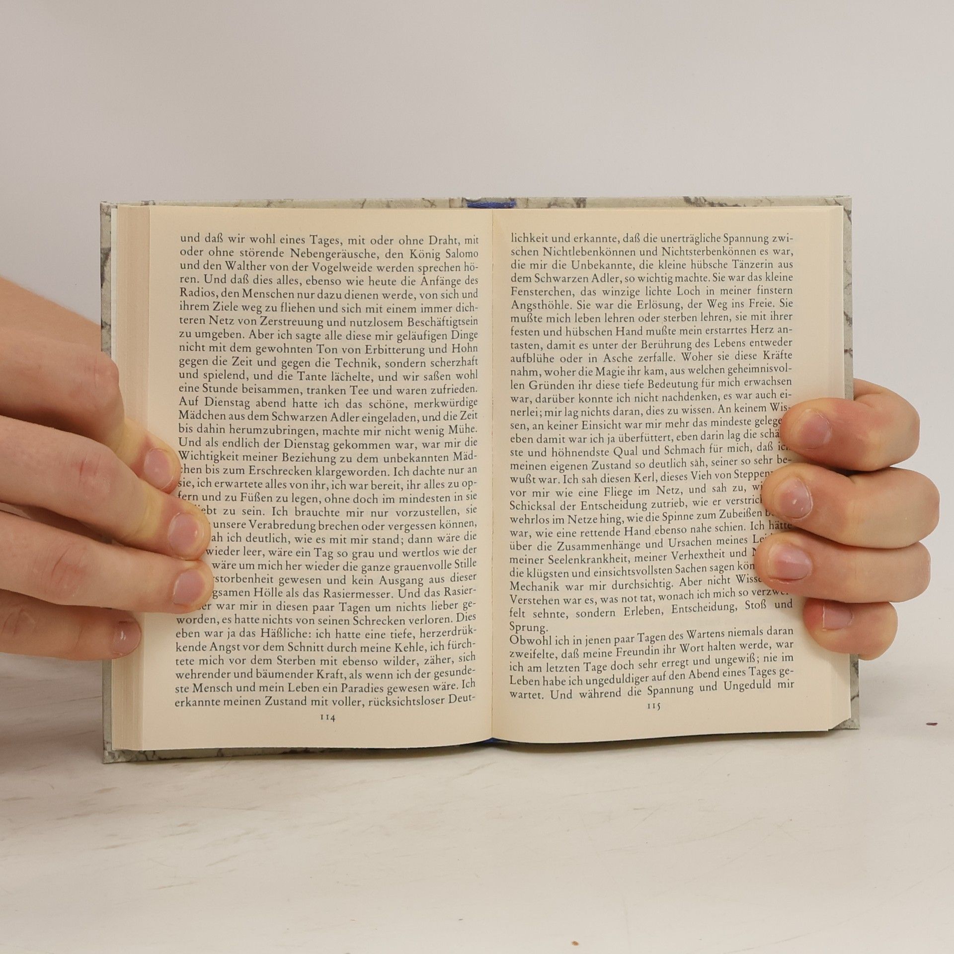 Hermann Hesse Der Steppenwolf