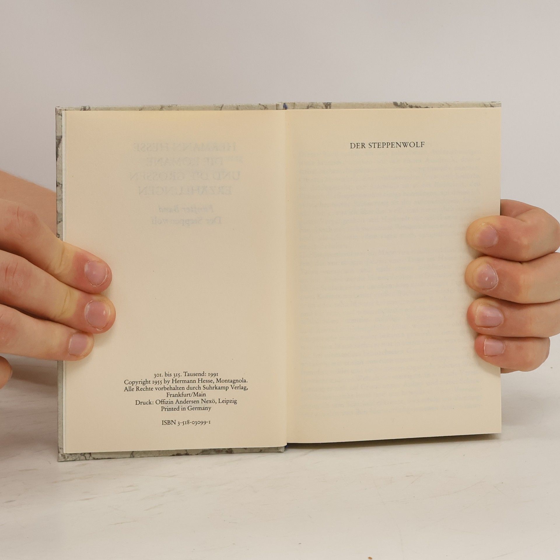Hermann Hesse Der Steppenwolf
