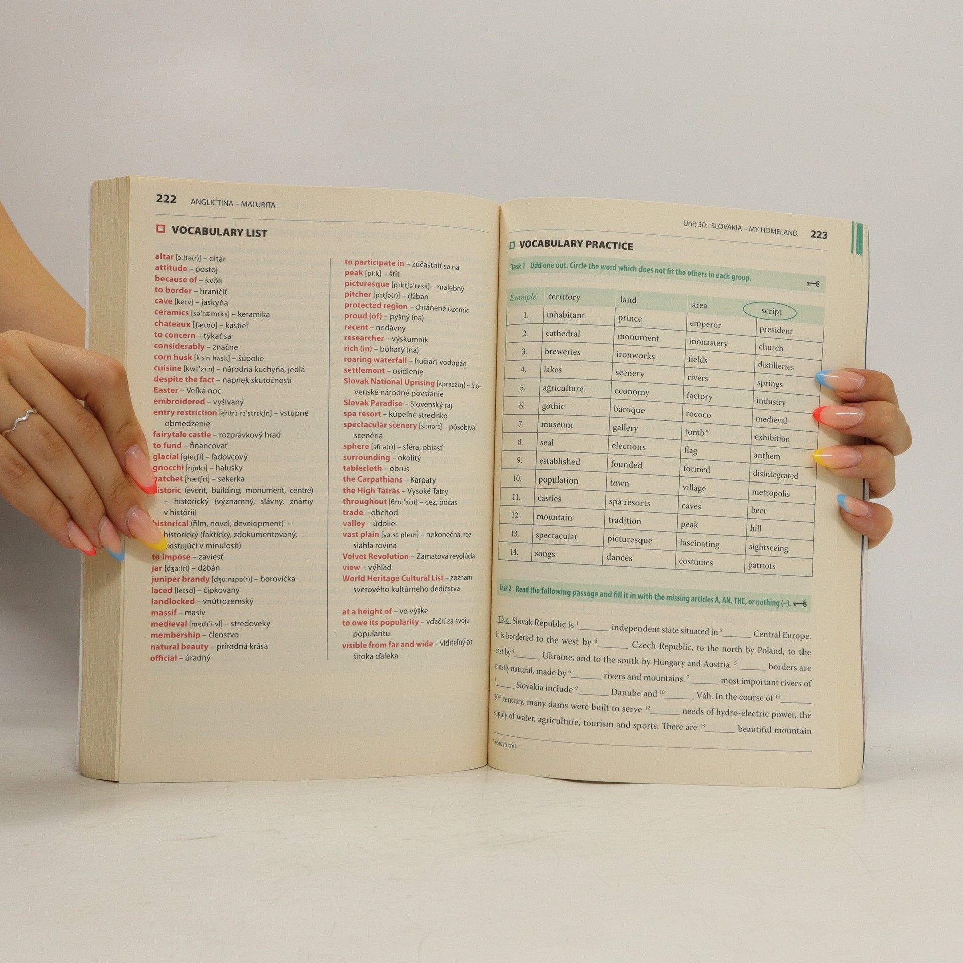 Kolektiv autorů Yes! Maturita - Angličtina - Vyššia úroveň 2