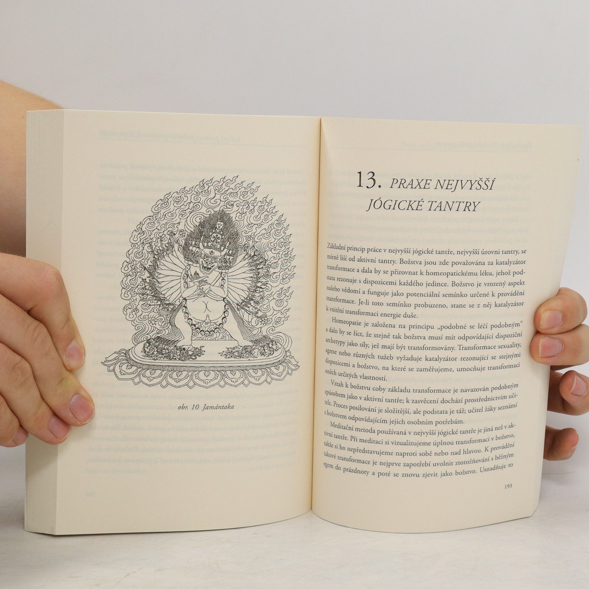 Rob Preece Psychologie buddhistické tantry