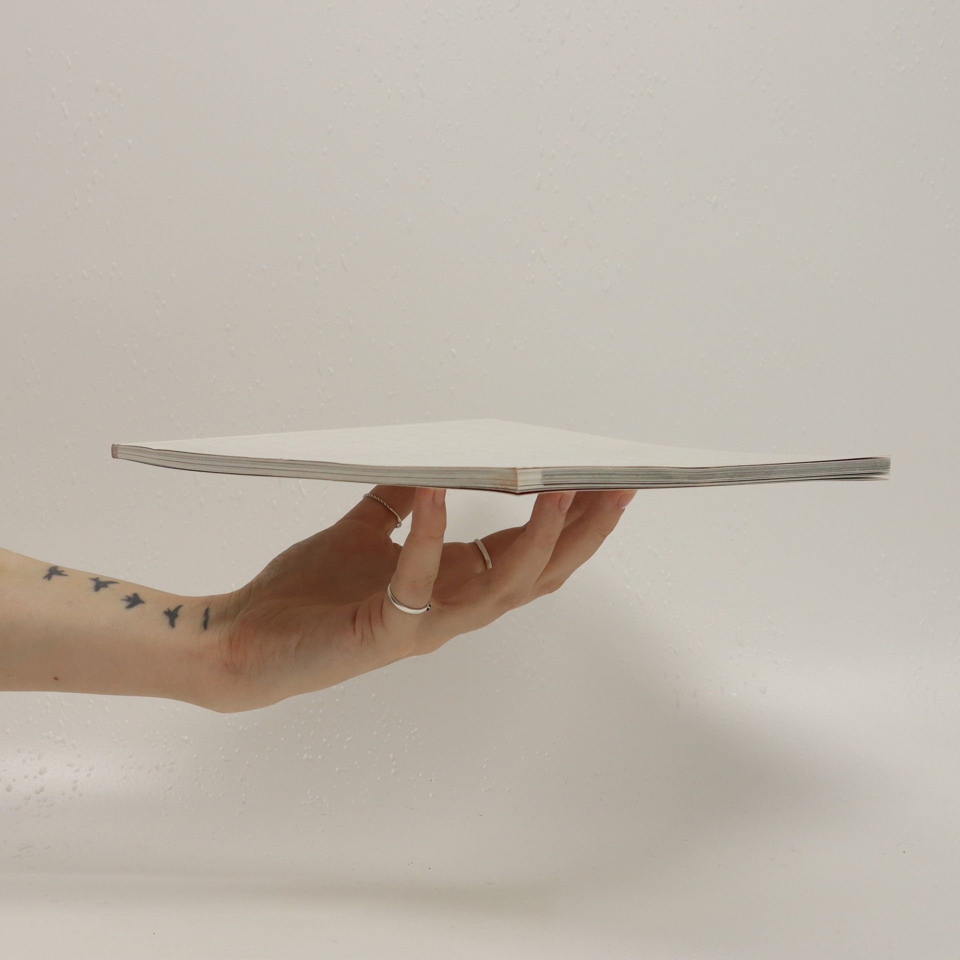 Pavel Knapek Ateliér keramika a porcelán VŠUP Praha 2007