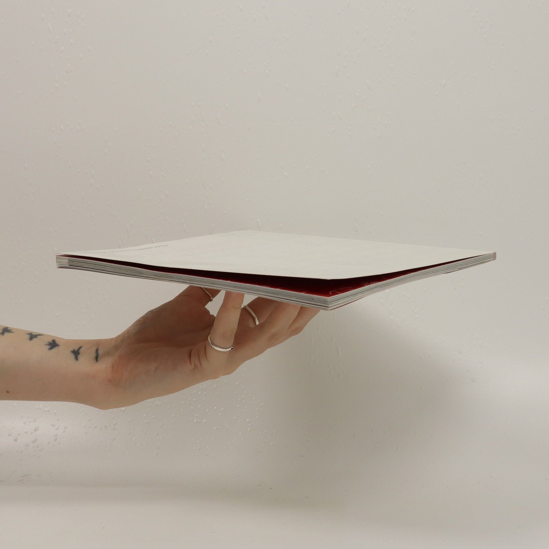 Pavel Knapek Ateliér keramika a porcelán VŠUP Praha 2007