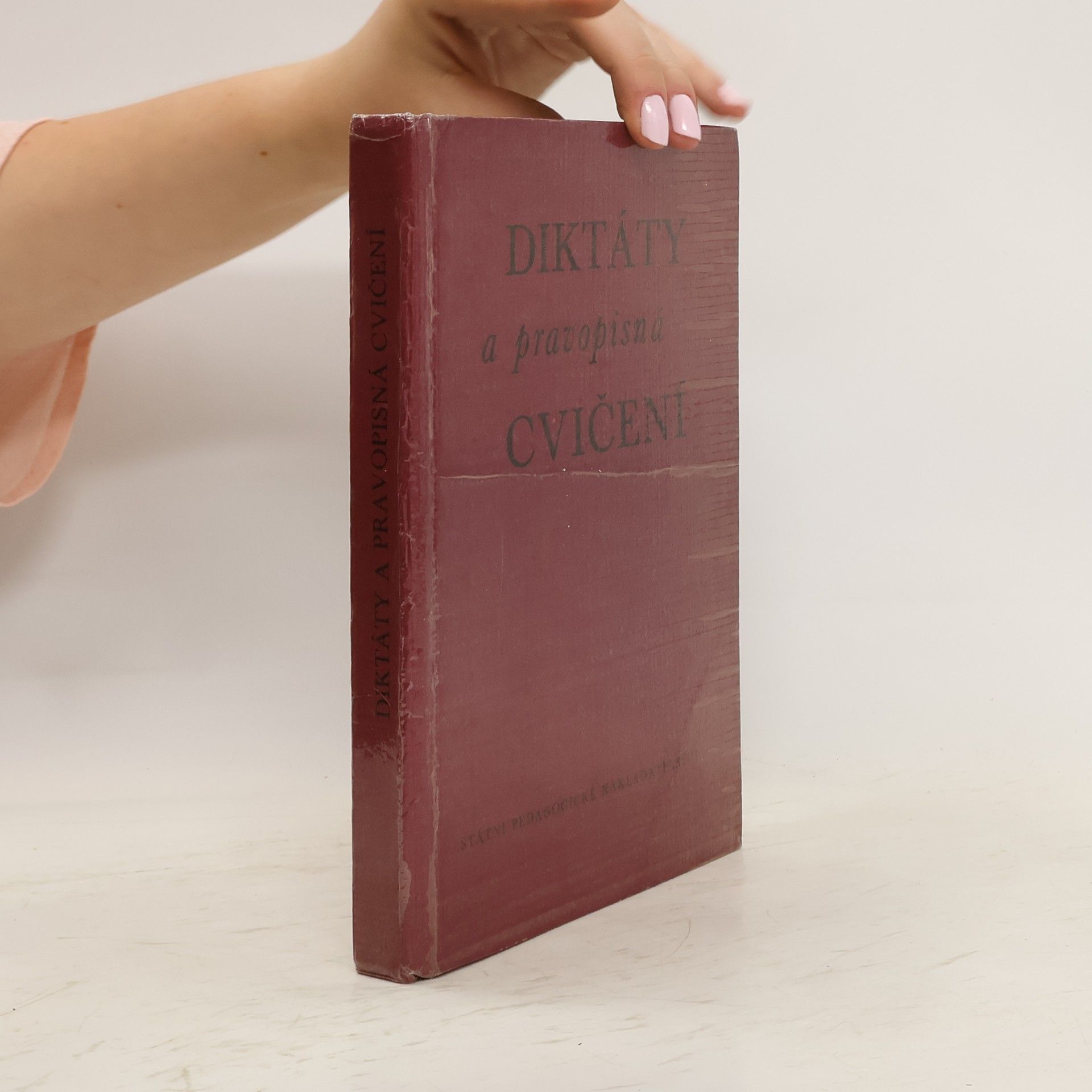 Kolektiv autorů Diktáty a pravopisná cvičení