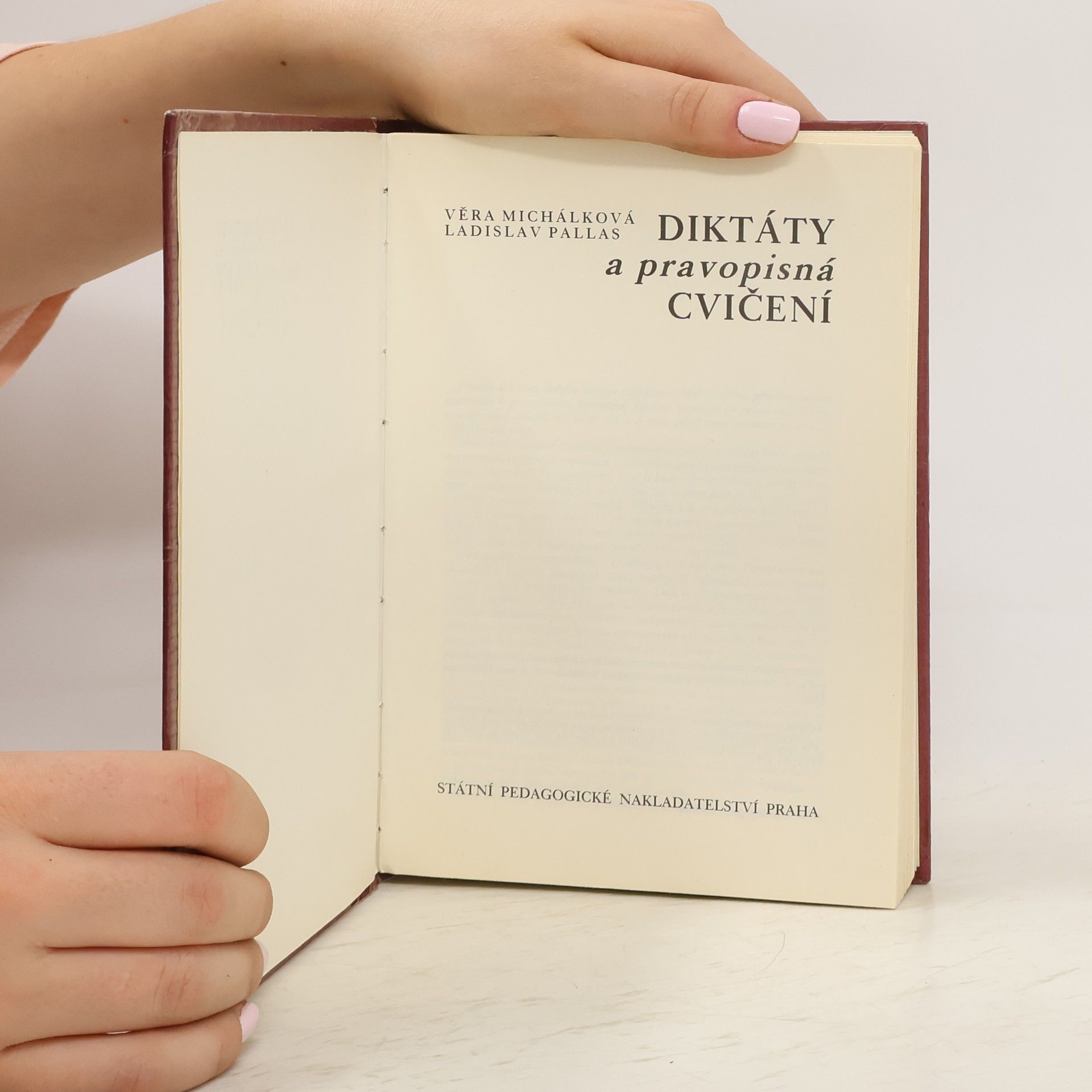 Kolektiv autorů Diktáty a pravopisná cvičení