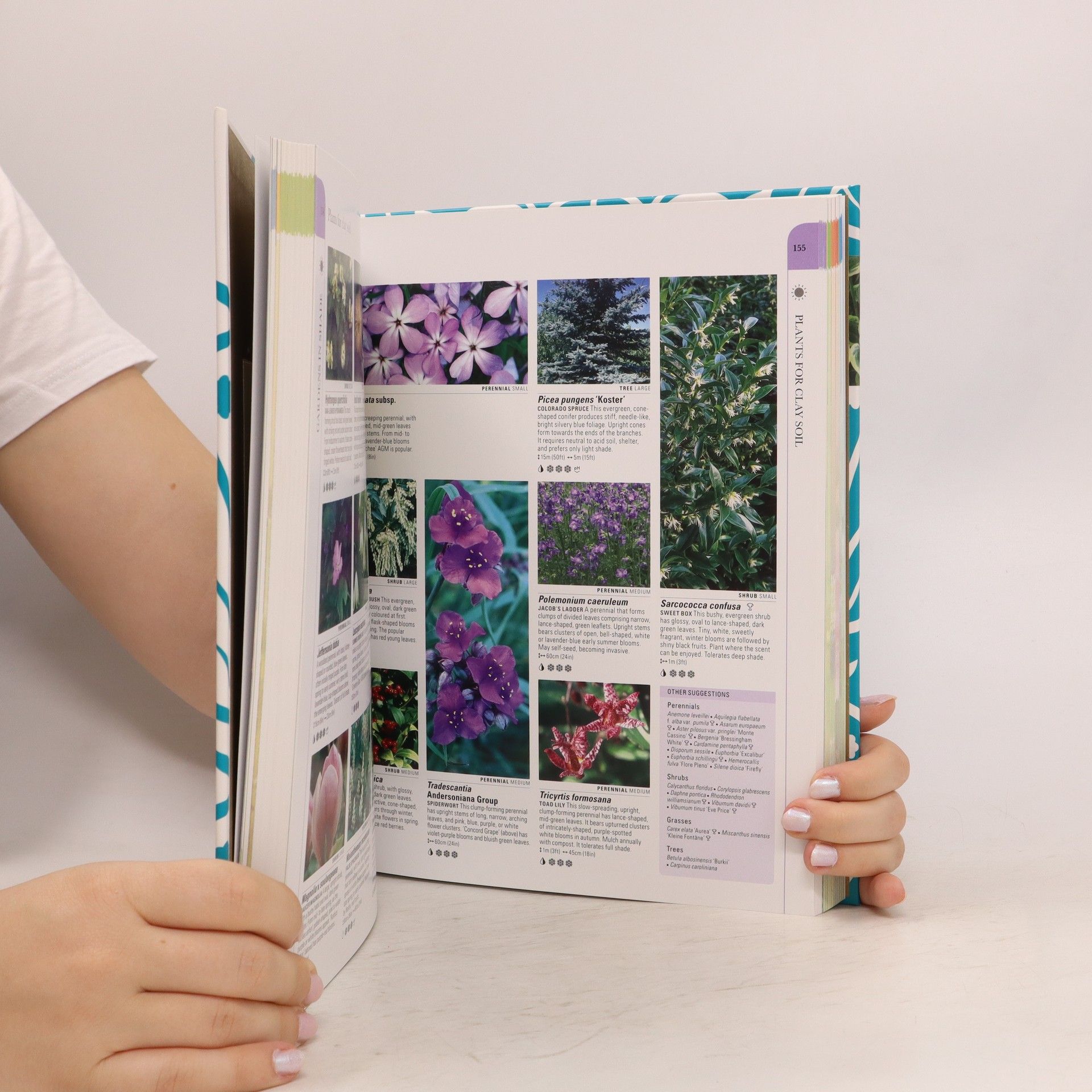 Kolektív autorov What Plant Where Encyclopedia
