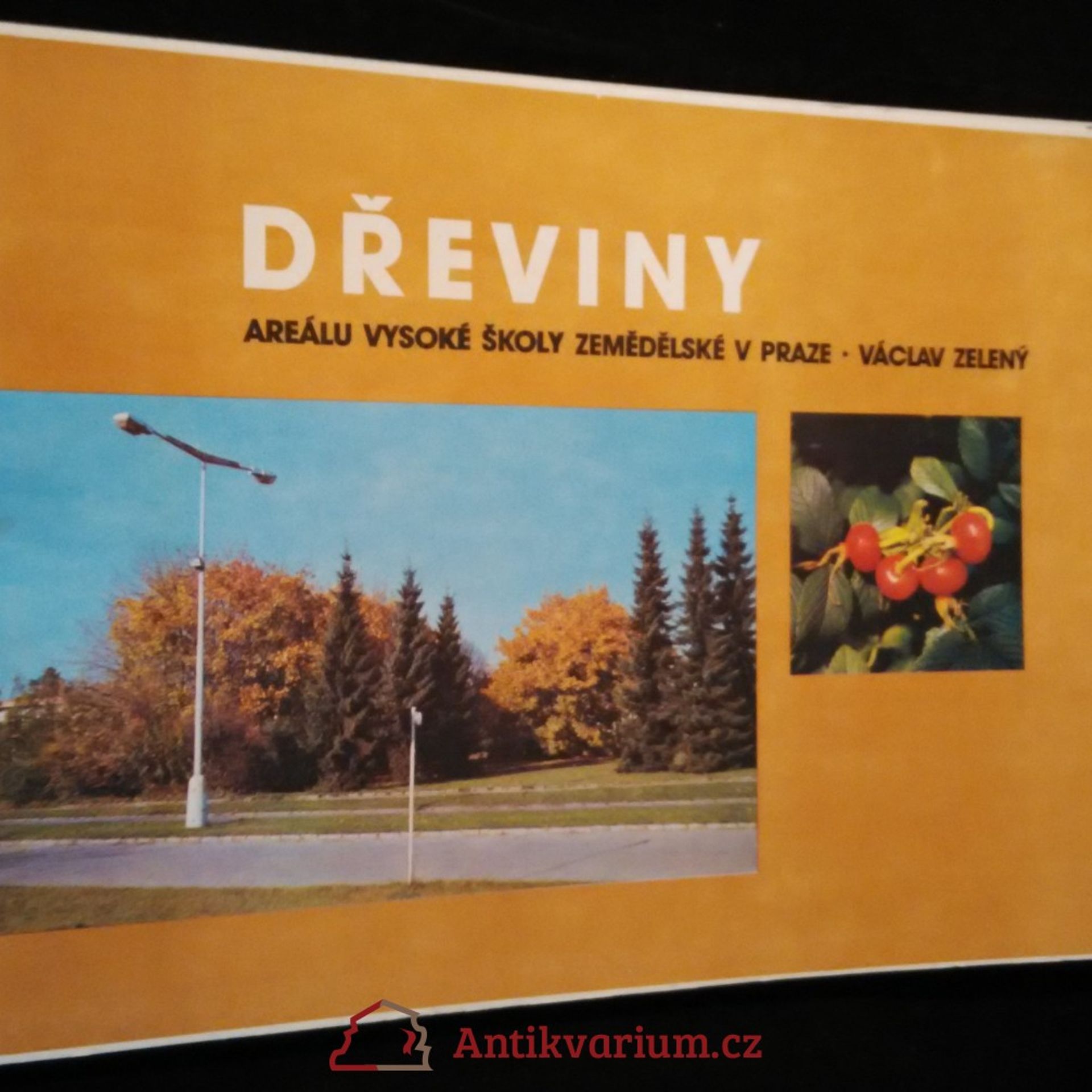 Dřeviny areálu Vysoké školy zemědělské v Praze