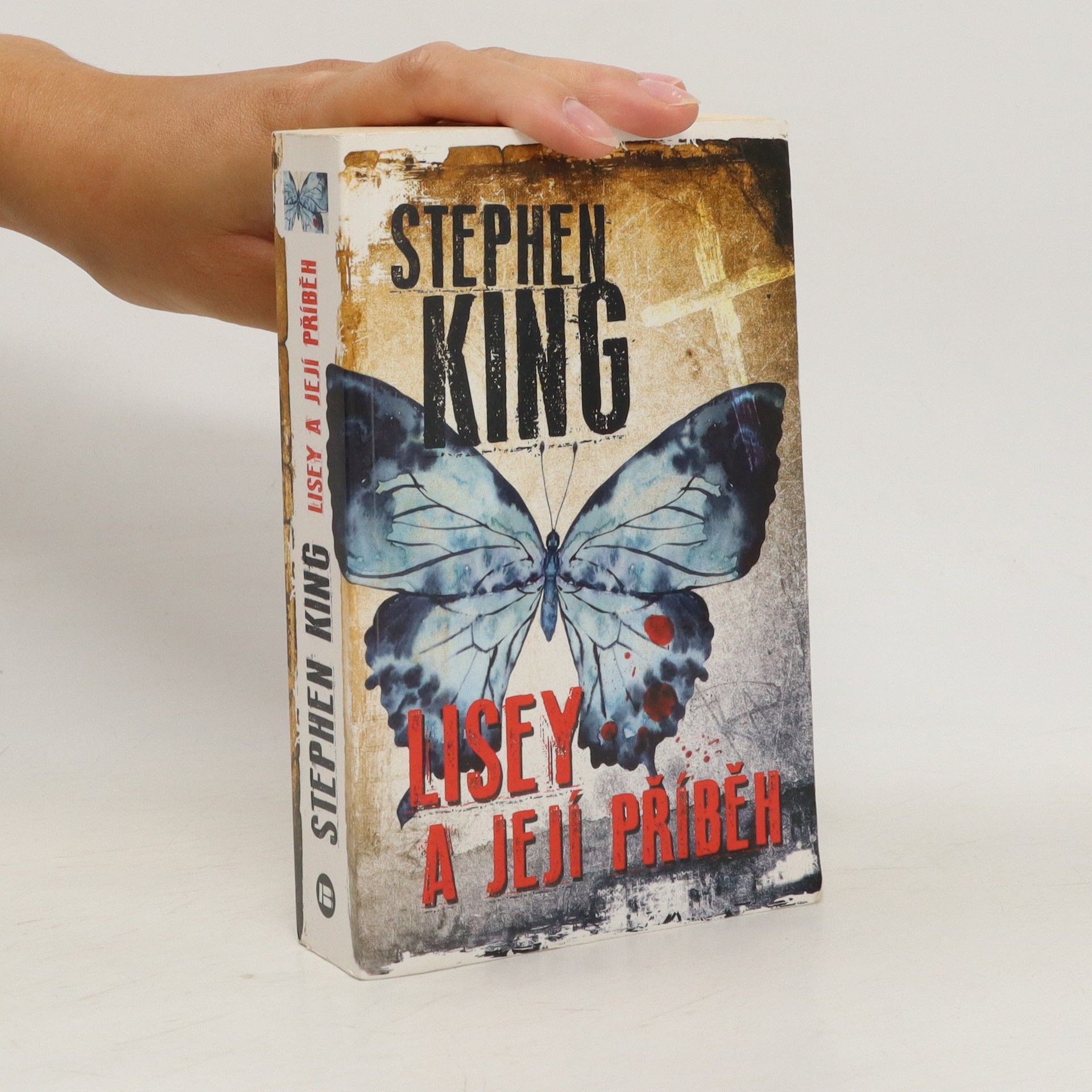 Stephen King Lisey a její příběh