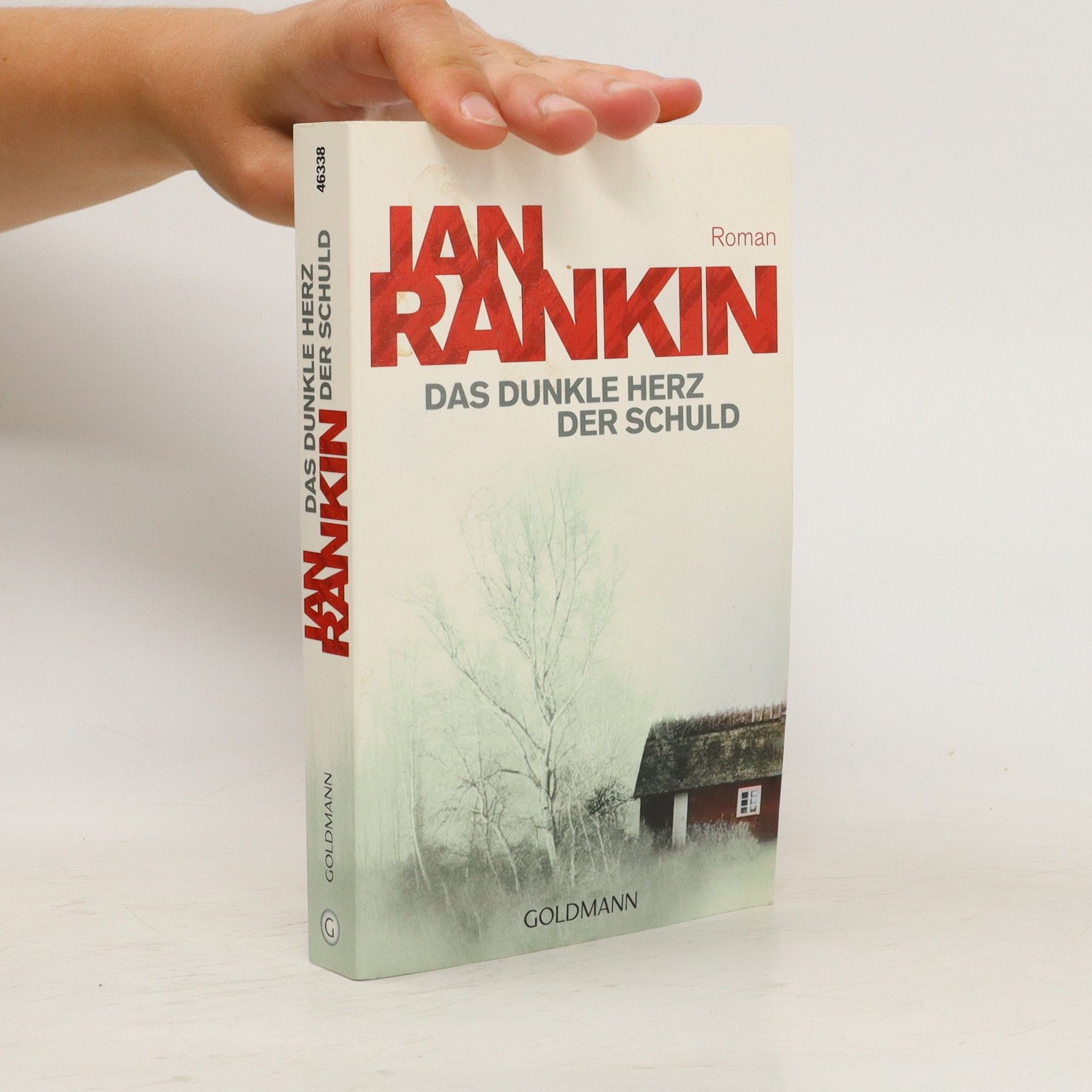 Ian Rankin Das dunkle Herz der Schuld