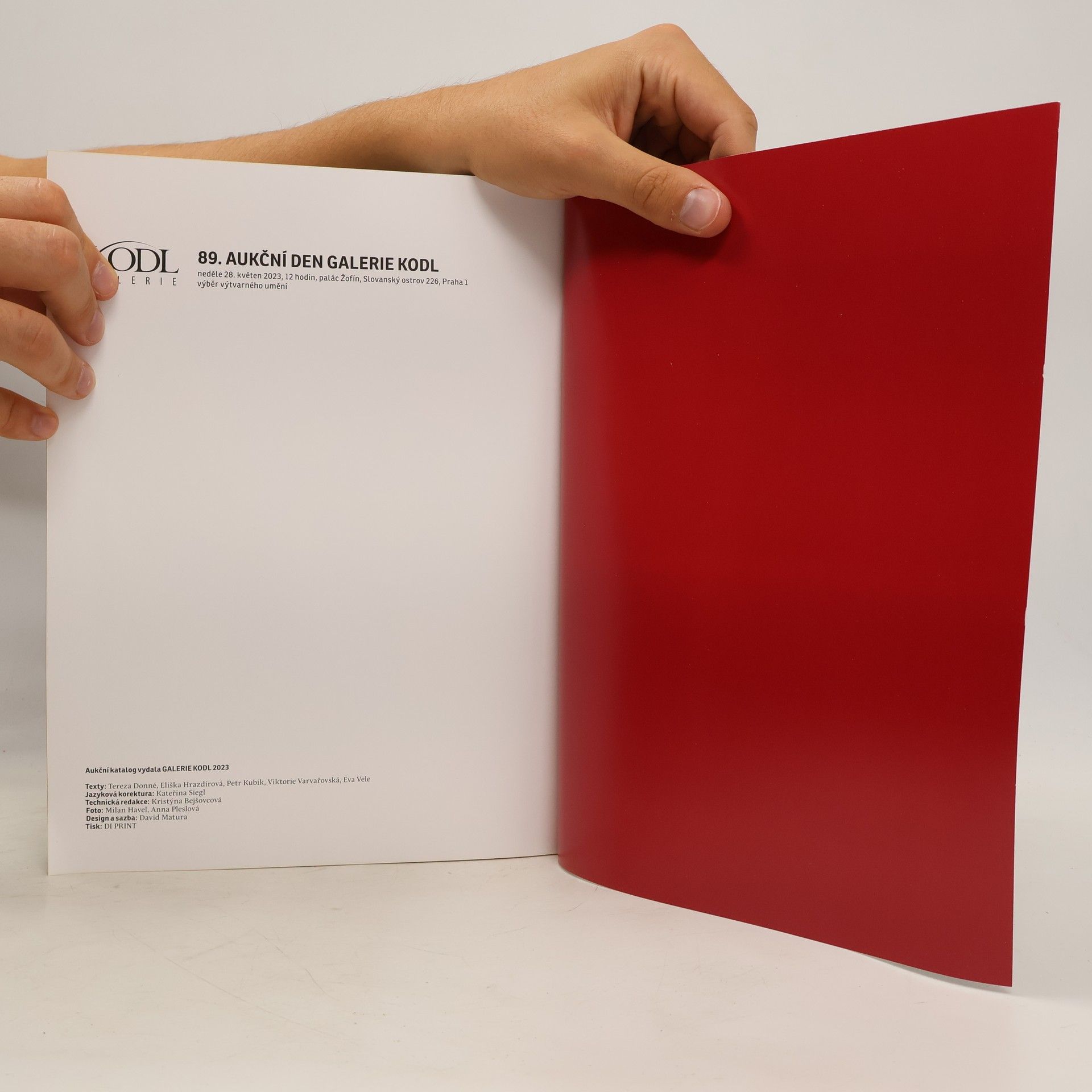 Kolektiv autorů 89. aukční den galerie Kodl