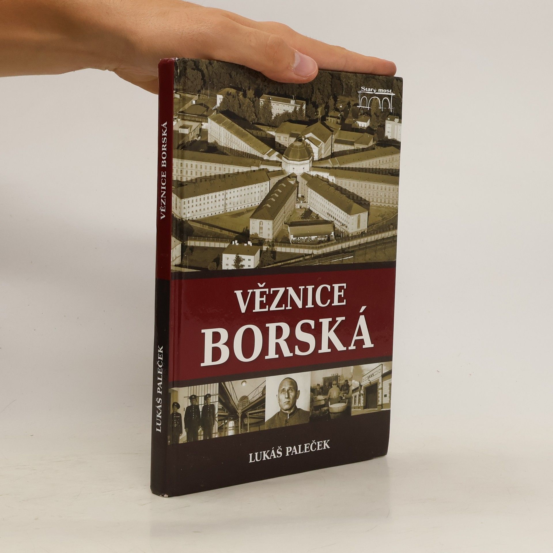 Lukáš Paleček Věznice borská